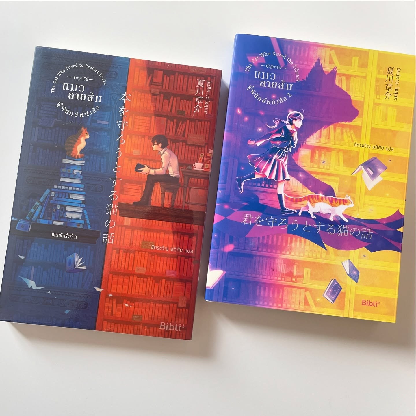 ปาฏิหาริย์แมวลายส้มผู้พิทักษ์หนังสือ Series