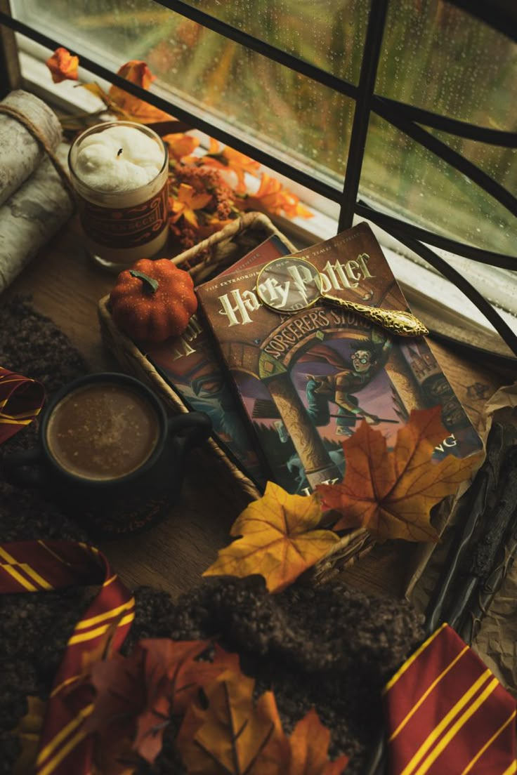 Harry Potter Series