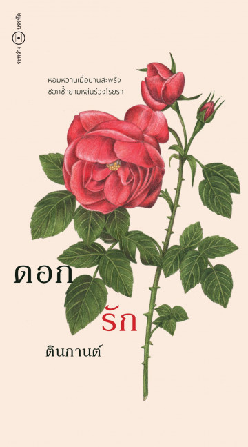 ดอก รัก