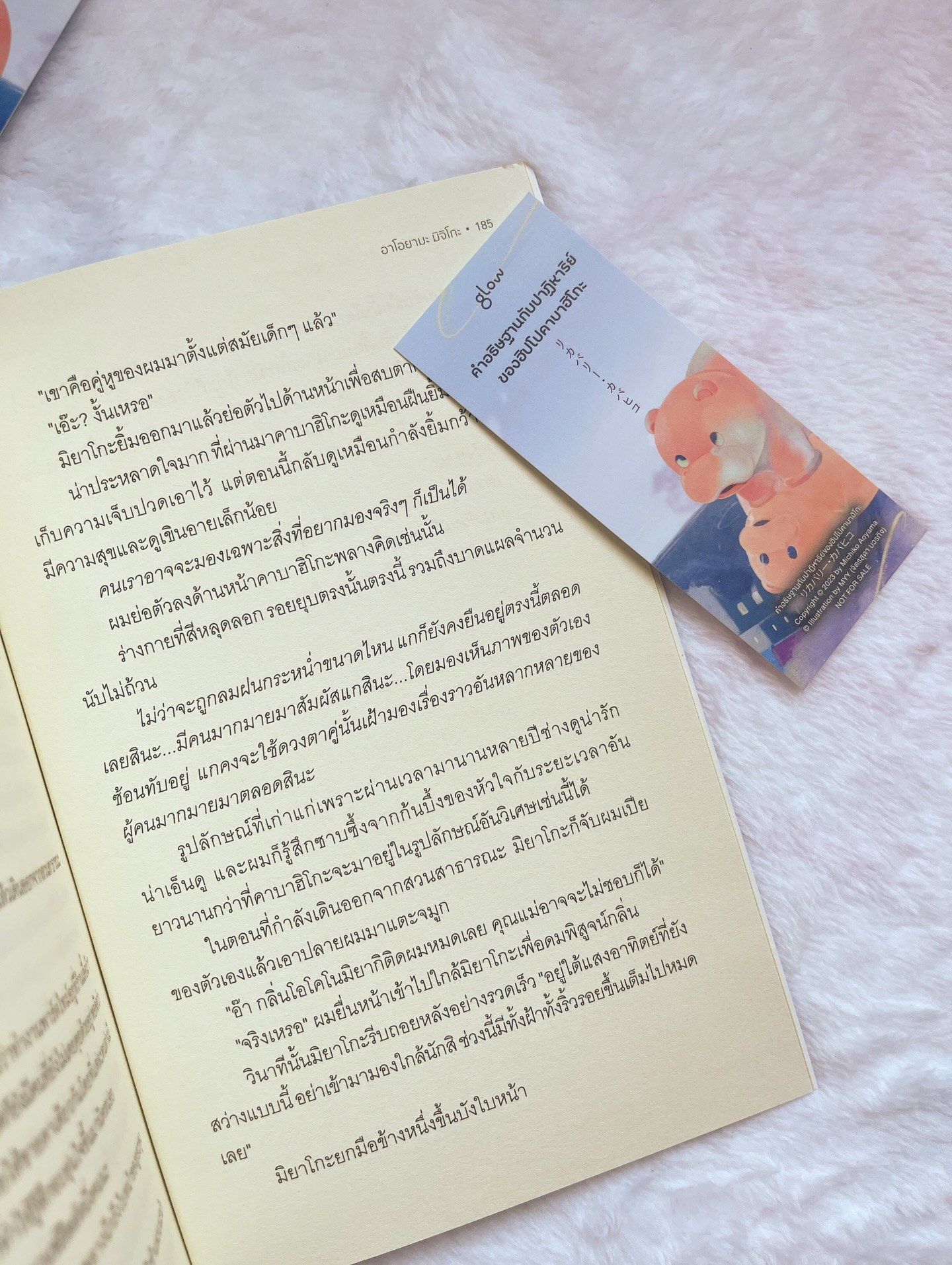 คำอธิษฐานกับปาฏิหาริย์ของฮิปโปคาบาฮิโกะ รูปที่ 10
