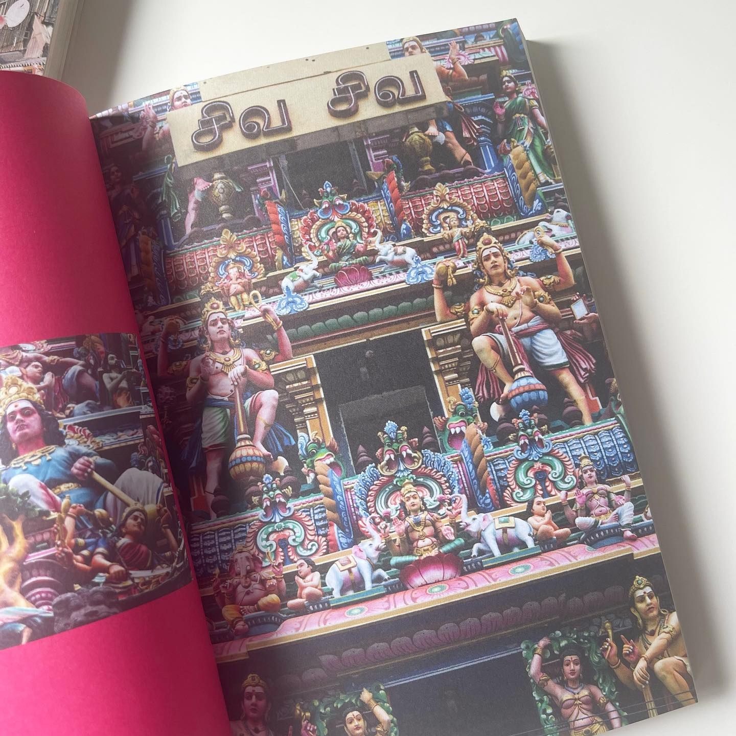 Dear India มาหาภารตะ รูปที่ 8
