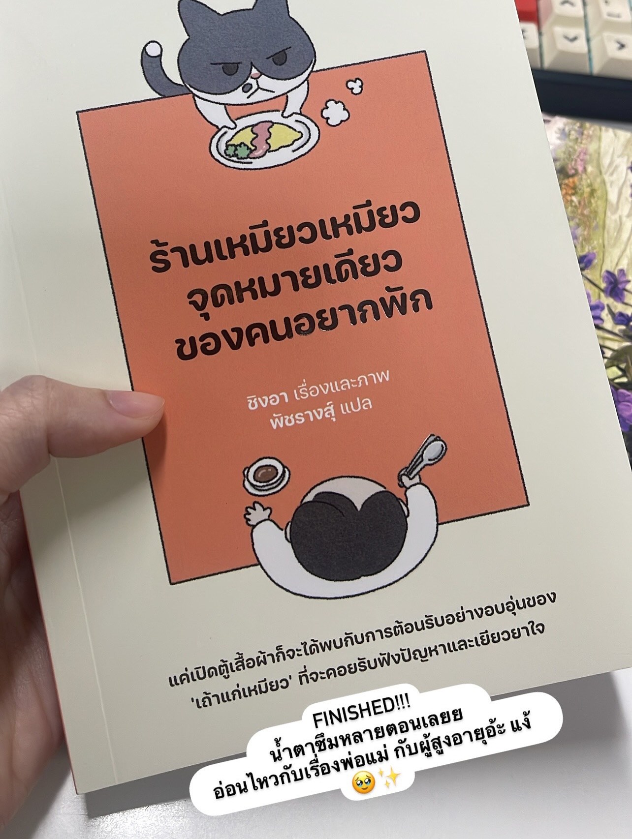 ร้านเหมียวเหมียว จุดหมายเดียวของคนอยากพัก รูปที่ 2