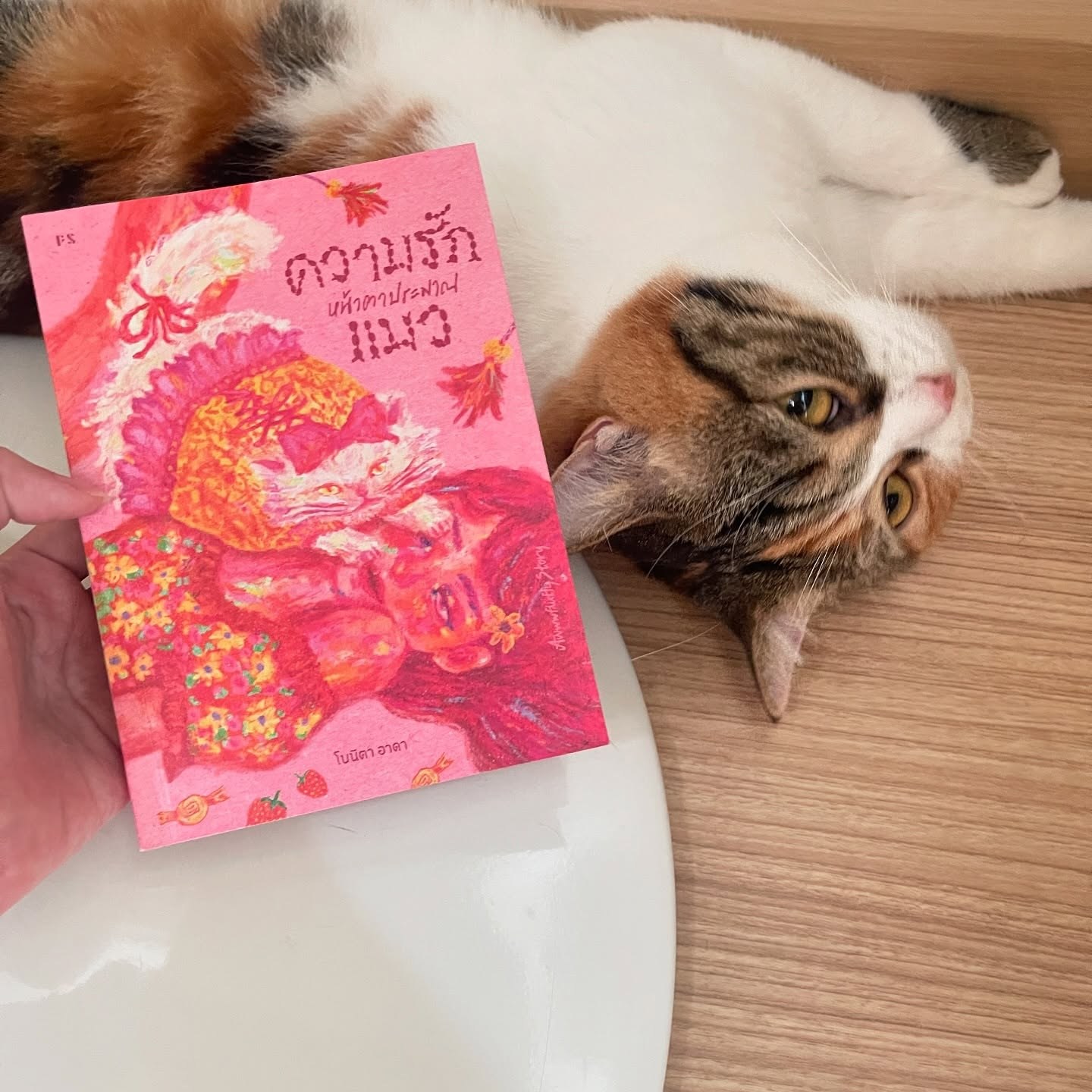 Awwwfluffy Story ความรักหน้าตาประมาณแมว รูปที่ 1