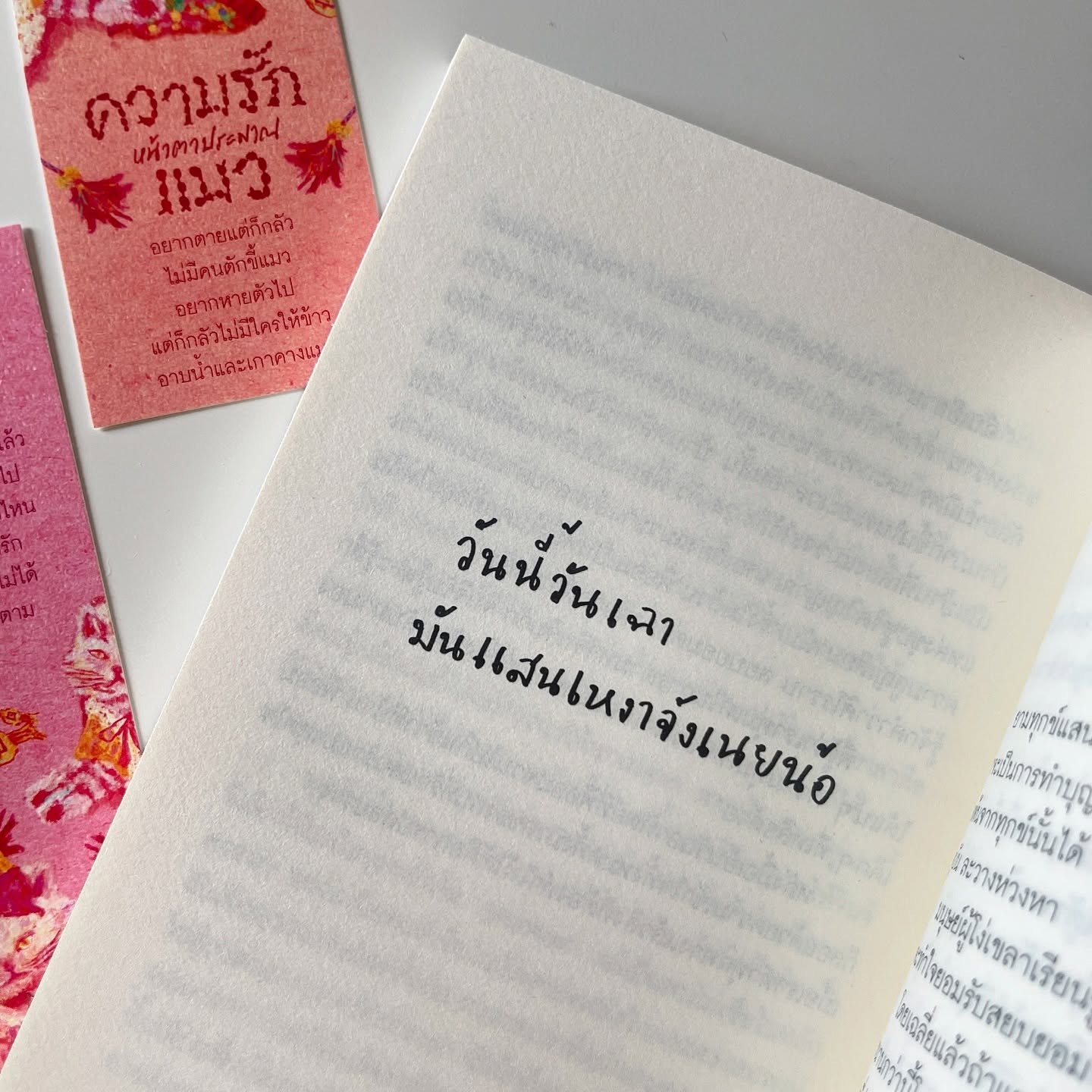 Awwwfluffy Story ความรักหน้าตาประมาณแมว รูปที่ 3