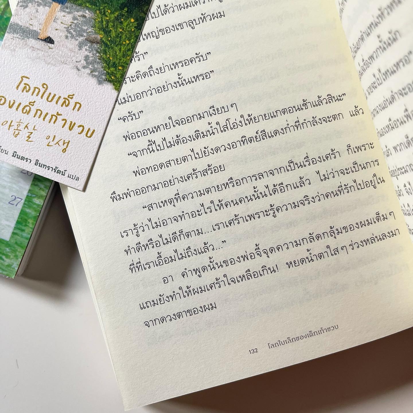 โลกใบเล็กของเด็กเก้าขวบ รูปที่ 2