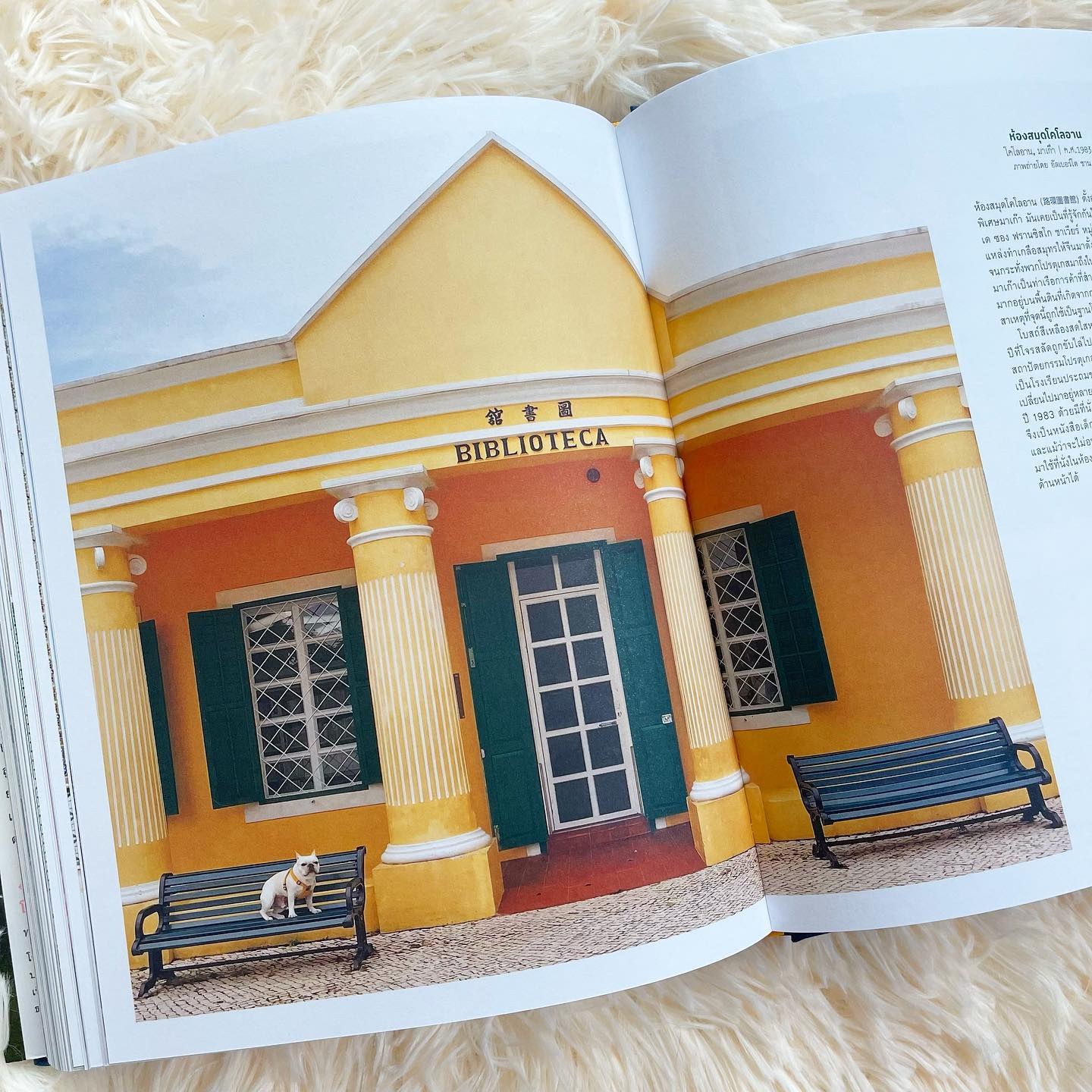 Accidentally Wes Anderson รูปที่ 9