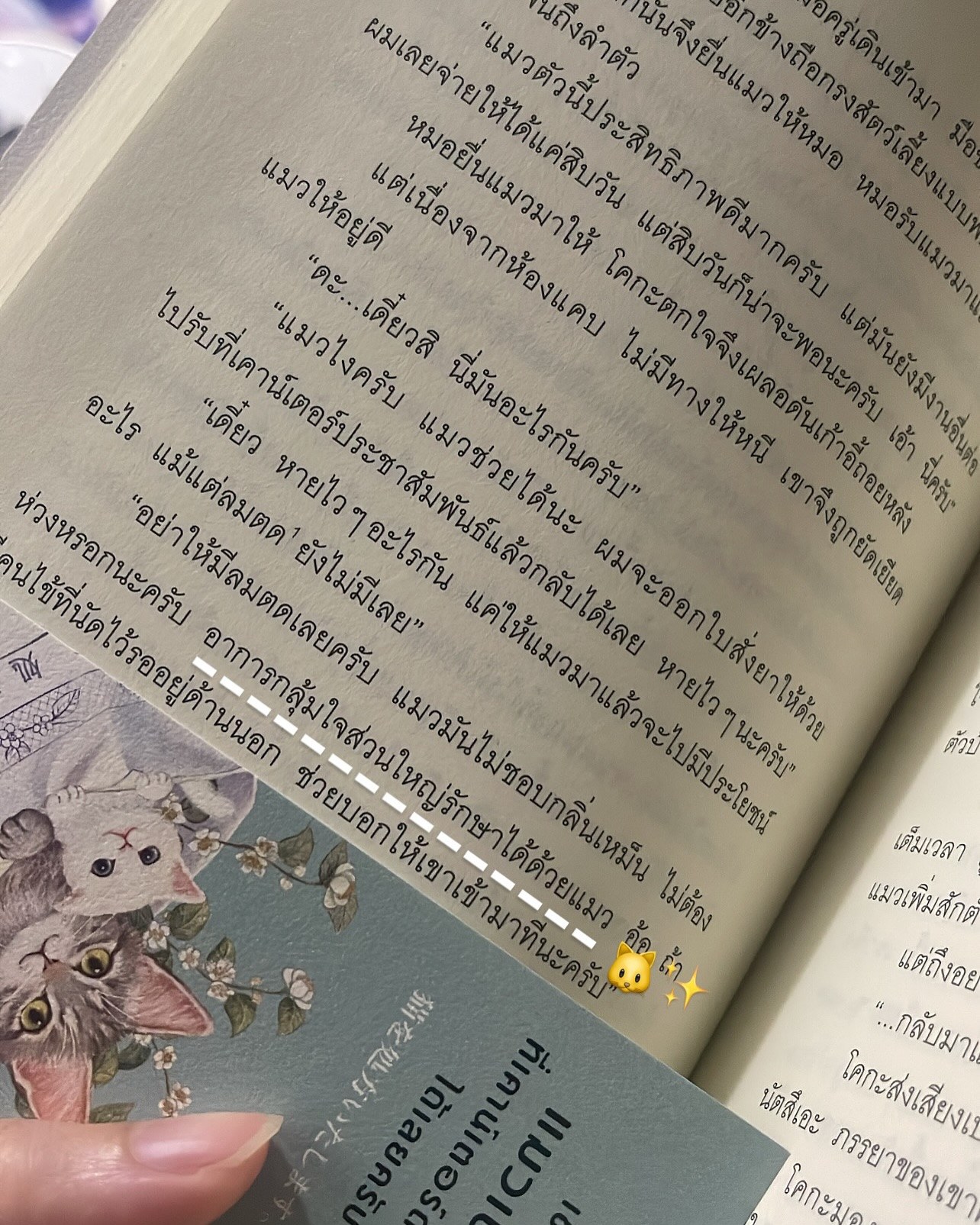 เชิญรับแมวเป็นยาที่เคาน์เตอร์ด้านหน้าได้เลยครับ เล่ม 1 รูปที่ 4