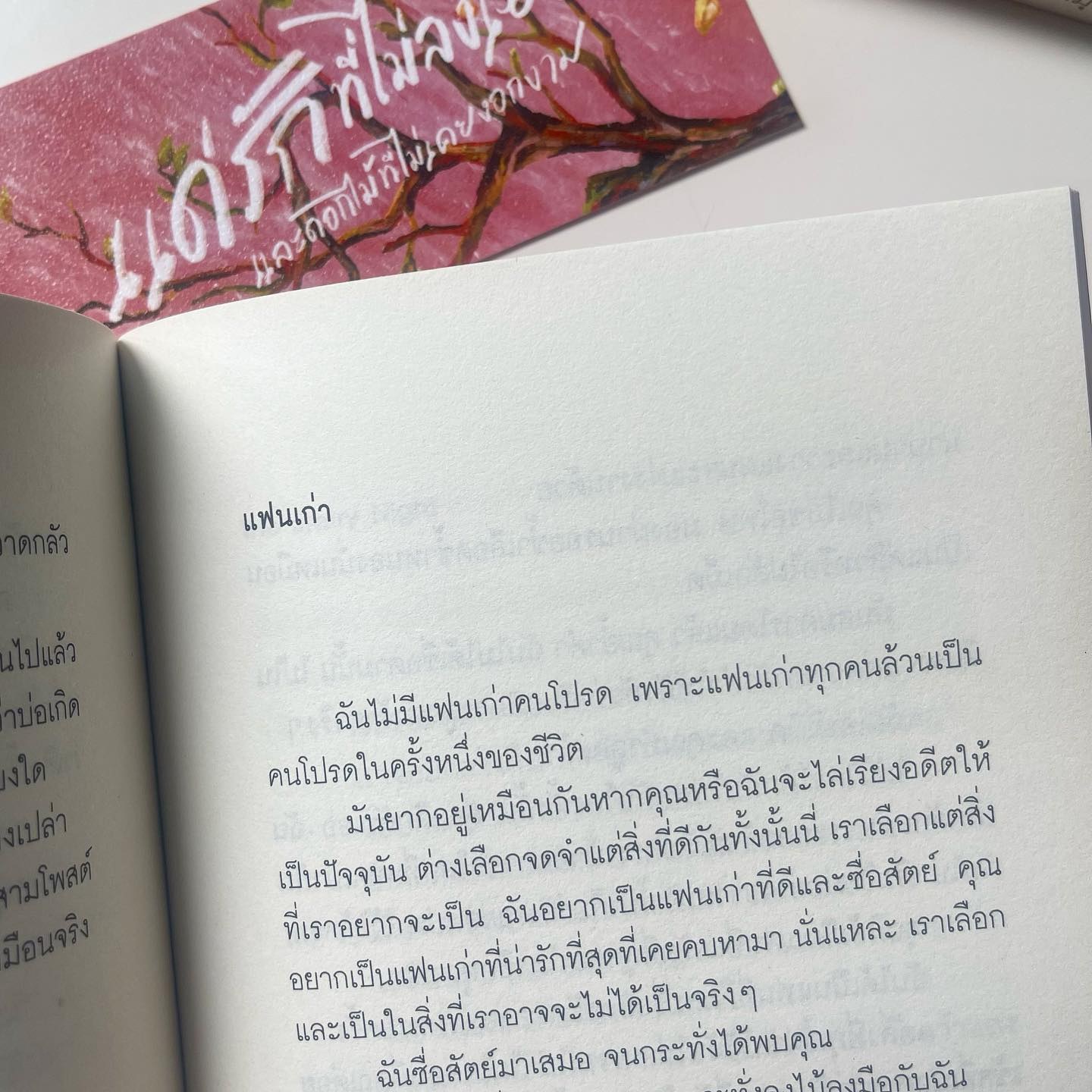 แด่รักที่ไม่ลงเอย และดอกไม้ที่ไม่เคยงอกงาม รูปที่ 8