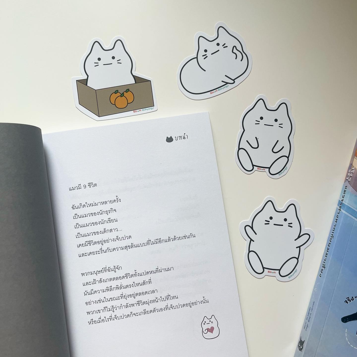 แมว 9 ชีวิตสอนฉันว่า “เหมียว เหมียว เหมียว เหมียว เหมียว” รูปที่ 2