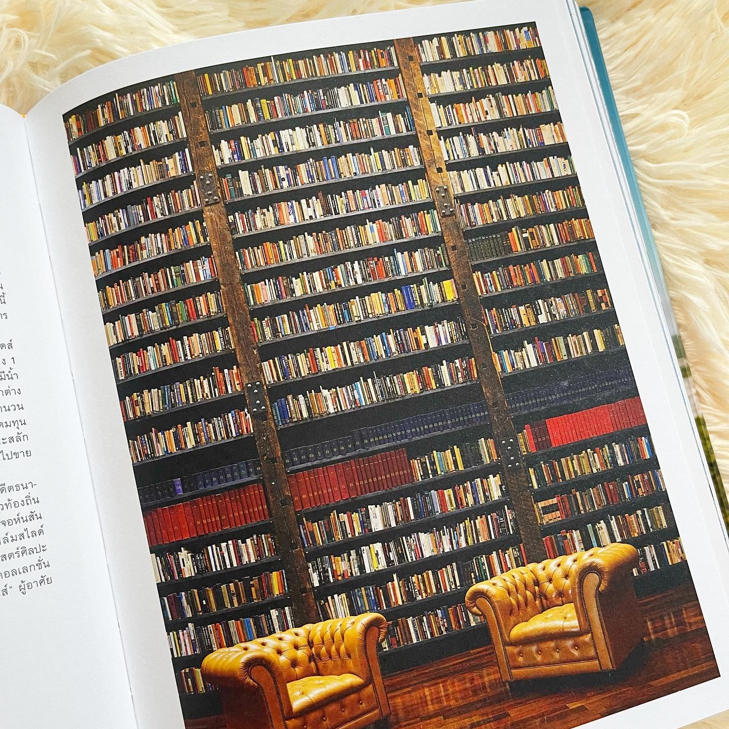Accidentally Wes Anderson รูปที่ 2