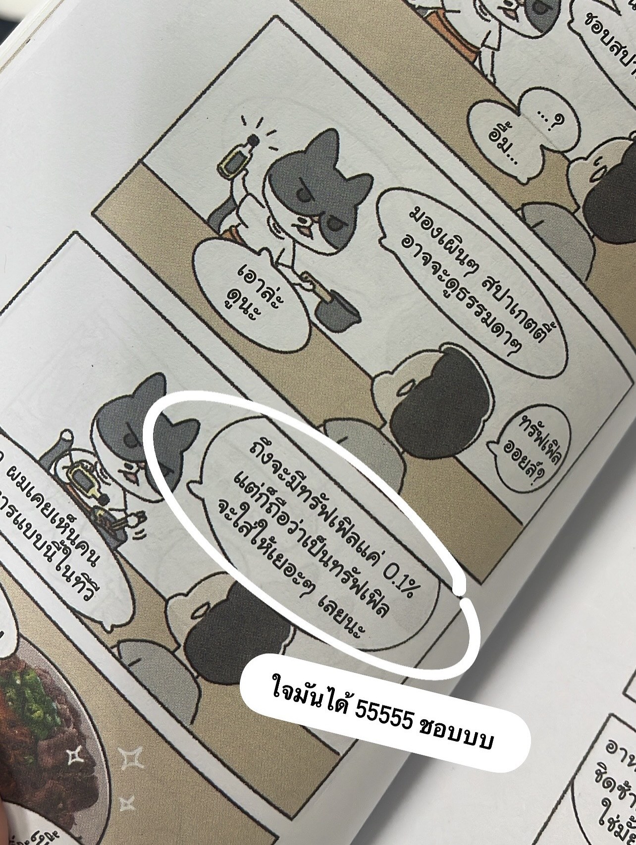ร้านเหมียวเหมียว จุดหมายเดียวของคนอยากพัก รูปที่ 8