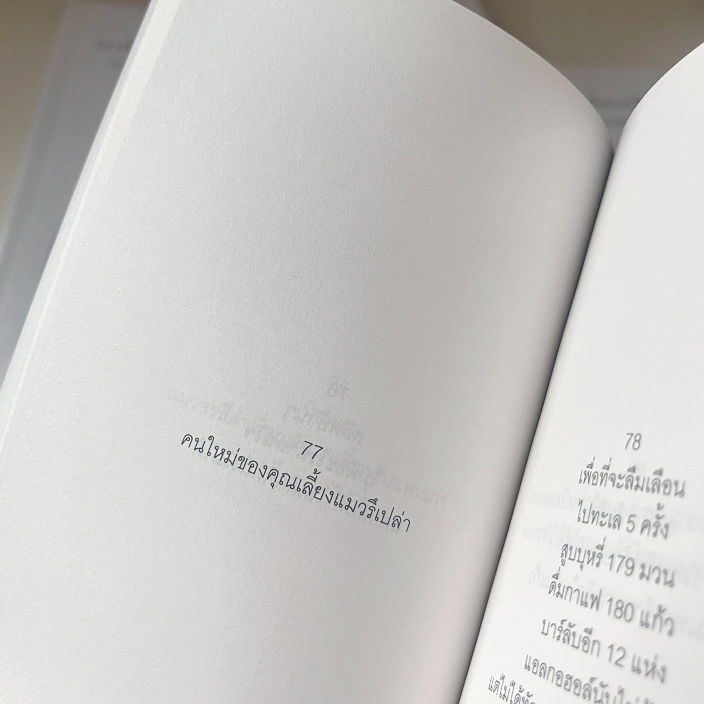กว่าผมจะตื่น เธอก็คงไปดูแมวห้องคนอื่นเสียแล้ว รูปที่ 7