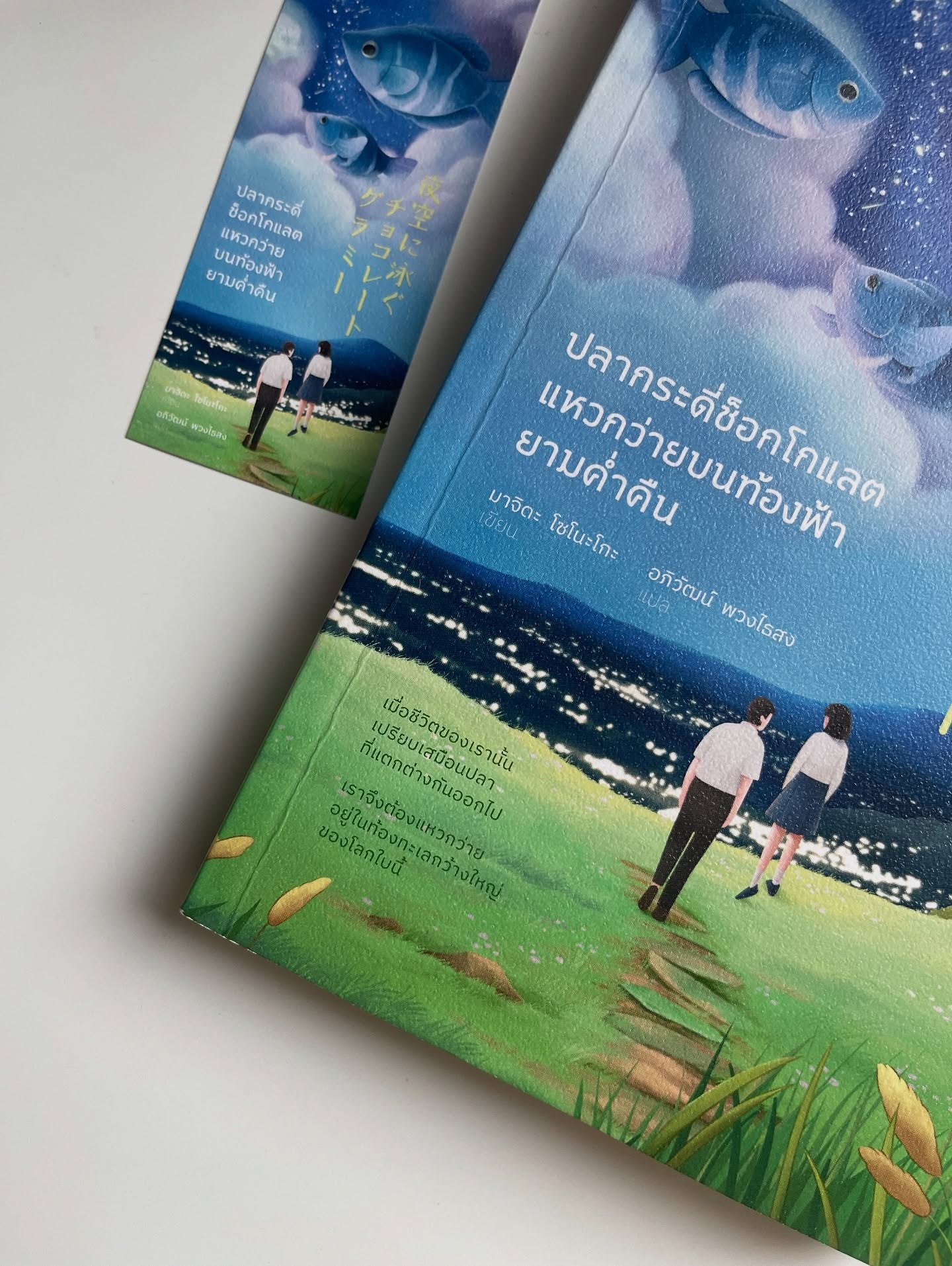 ปลากระดี่ช็อกโกแลตแหวกว่ายบนท้องฟ้ายามค่ำคืน รูปที่ 6