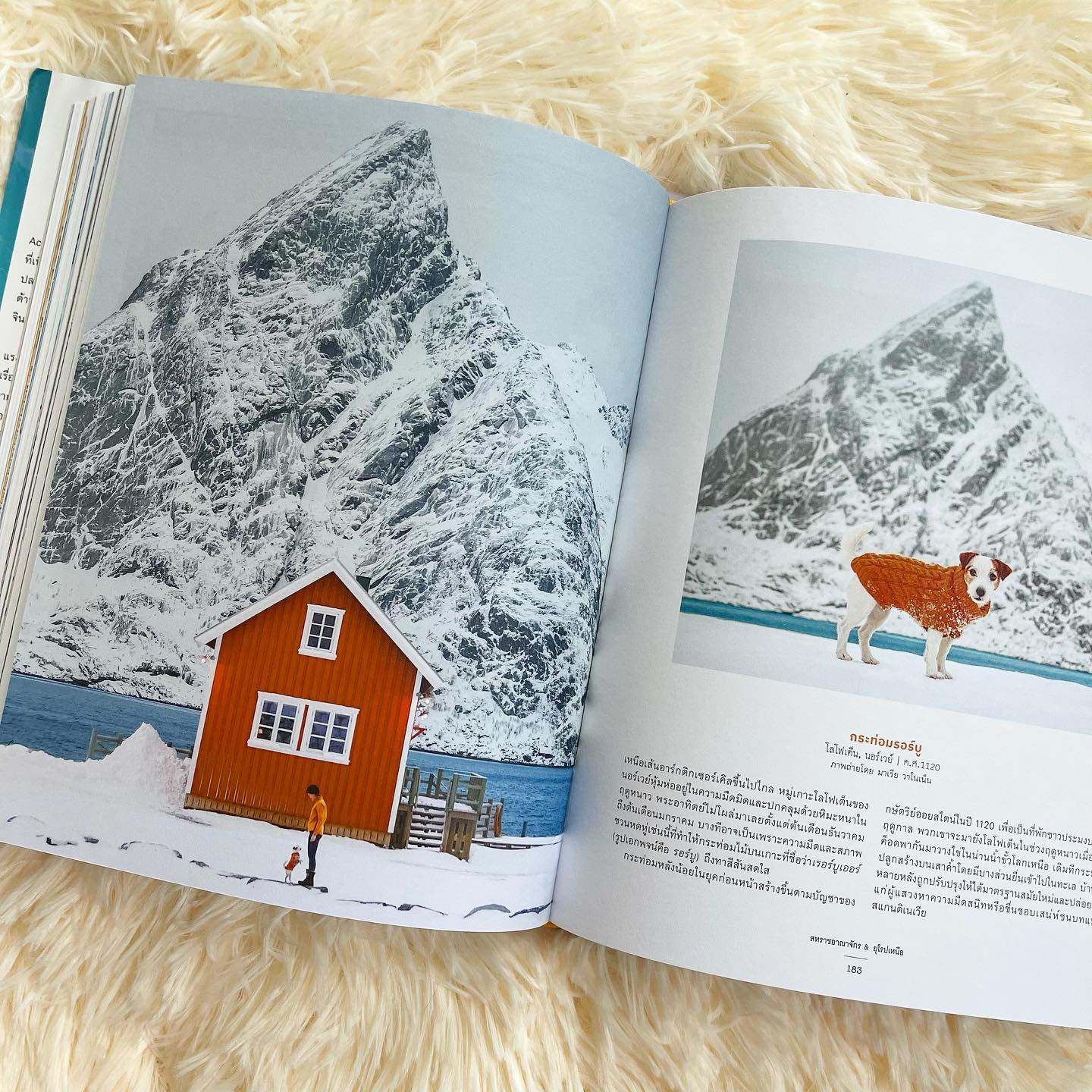 Accidentally Wes Anderson รูปที่ 4