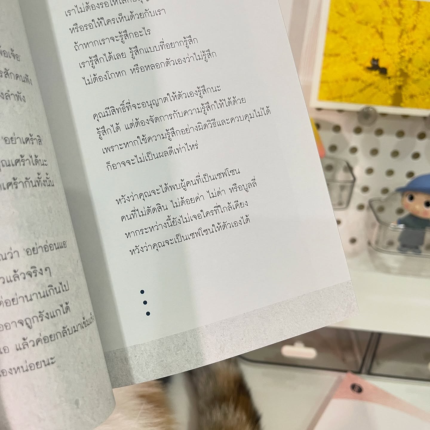 ขอให้การพบกัน...เป็นอีกวันที่ไม่แตกสลาย รูปที่ 4