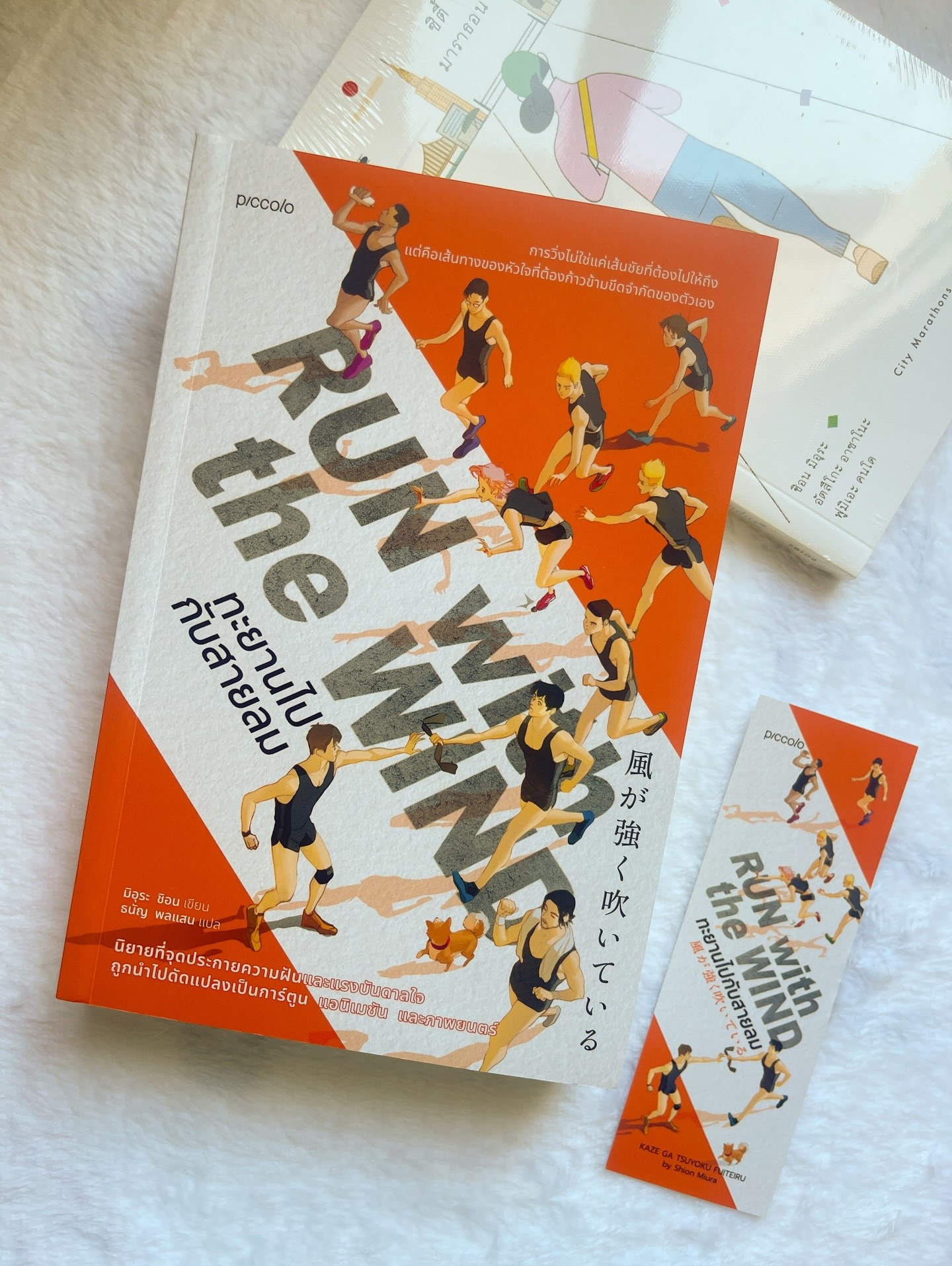 Run with the Wind ทะยานไปกับสายลม รูปที่ 9