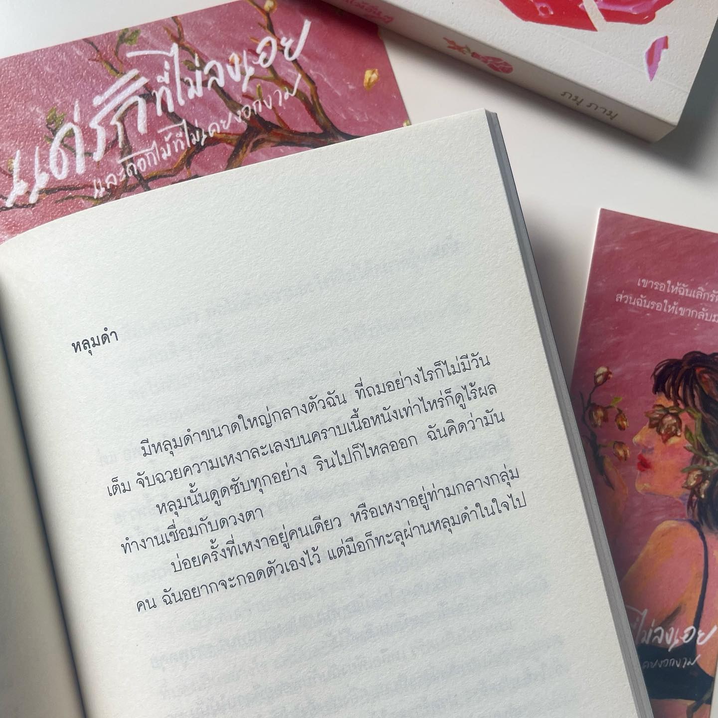 แด่รักที่ไม่ลงเอย และดอกไม้ที่ไม่เคยงอกงาม รูปที่ 7