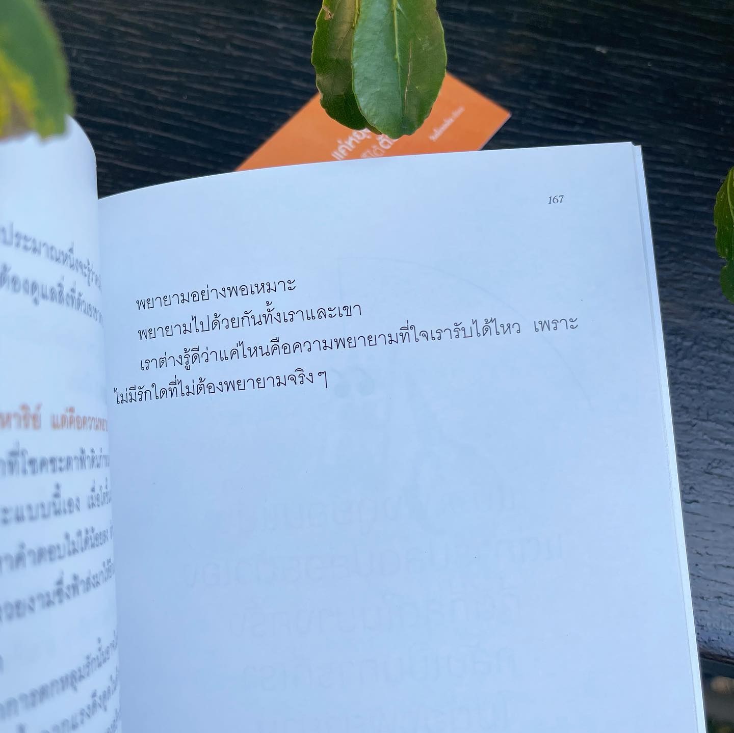 แค่หยุดวิ่งตามใครๆ ก็ได้ตัวเรากลับมา รูปที่ 8