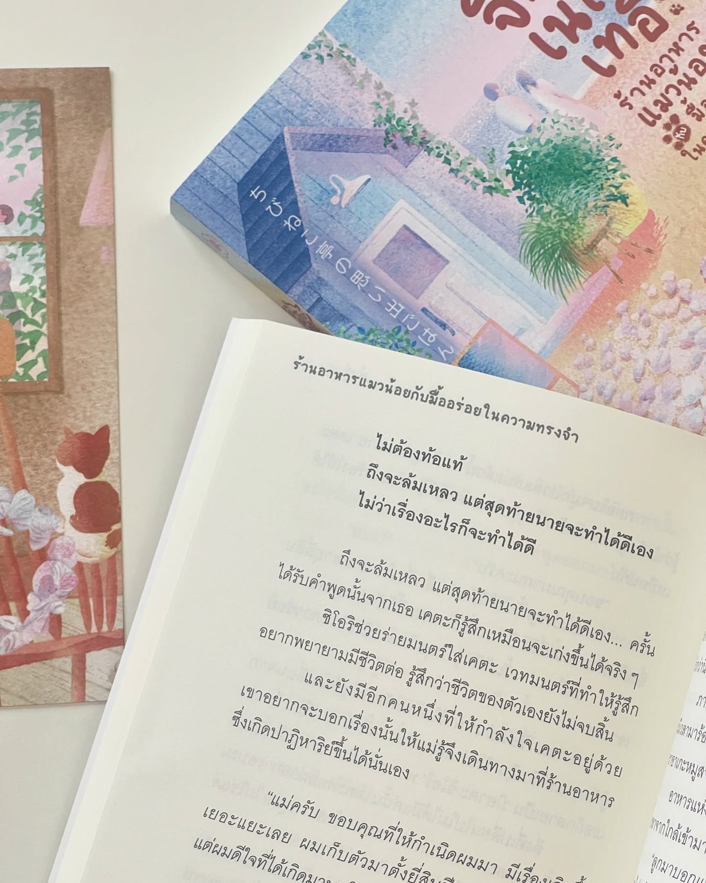 ร้านอาหารแมวน้อยกับมื้ออร่อยในความทรงจำ: แมวสามสีกับแกงกะหรี่เมื่อวันวาน รูปที่ 3