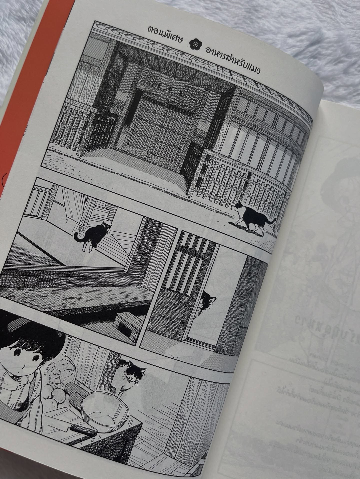 แม่ครัววัยใสแห่งบ้านไมโกะ เล่ม 15 รูปที่ 2