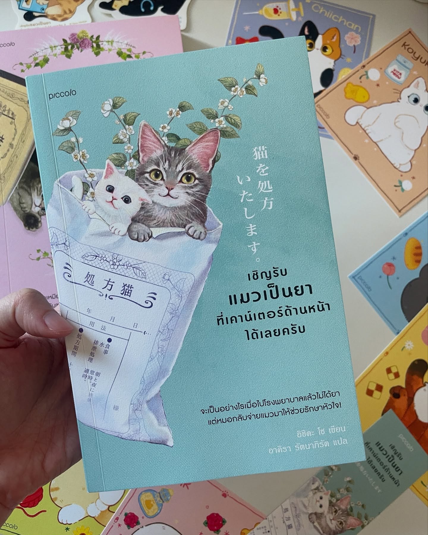 เชิญรับแมวเป็นยาที่เคาน์เตอร์ด้านหน้าได้เลยครับ เล่ม 1 รูปที่ 5