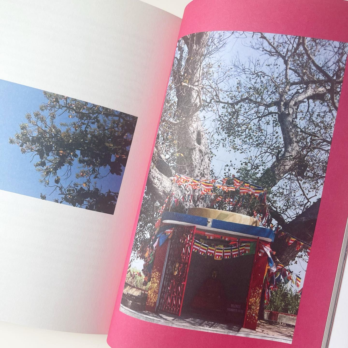 Dear India มาหาภารตะ รูปที่ 4