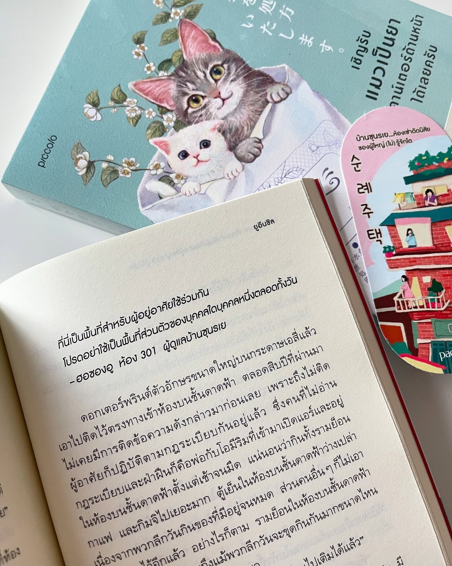 บ้านซุนรเย...ห้องเช่าดัดนิสัยของผู้ใหญ่ (ไม่) รู้จักโต รูปที่ 6