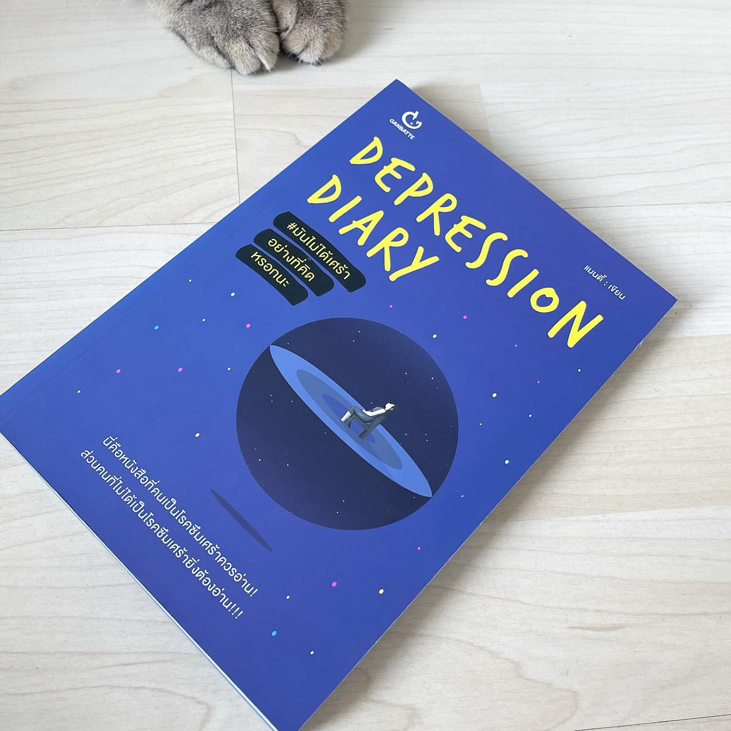 Depression Diary #มันไม่ได้เศร้าอย่างที่คิดหรอกนะ รูปที่ 1
