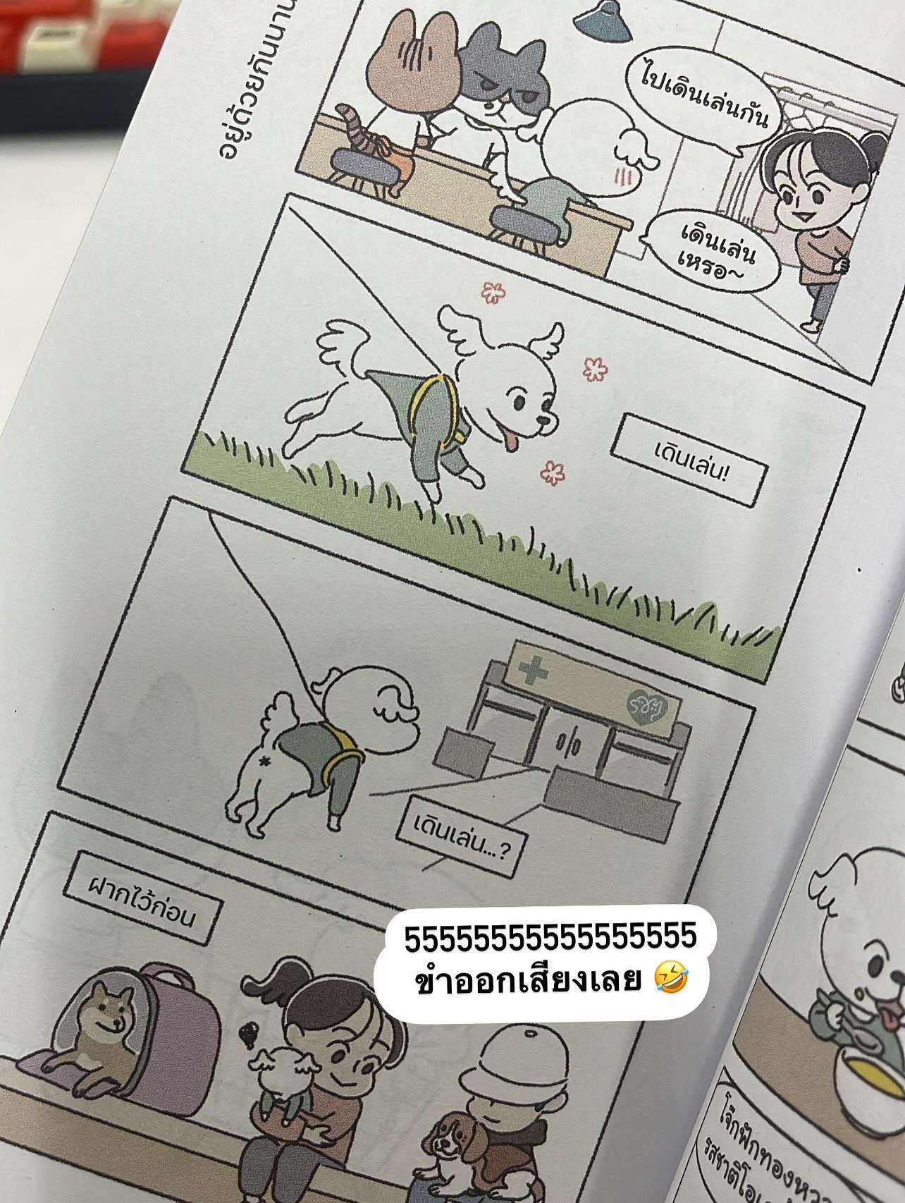 ร้านเหมียวเหมียว จุดหมายเดียวของคนอยากพัก รูปที่ 3