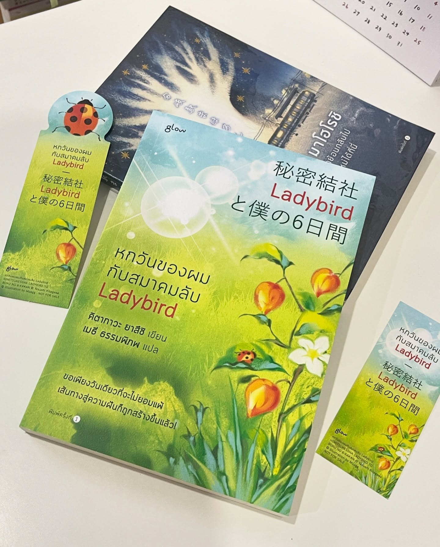 หกวันของผมกับสมาคมลับ Ladybird รูปที่ 1