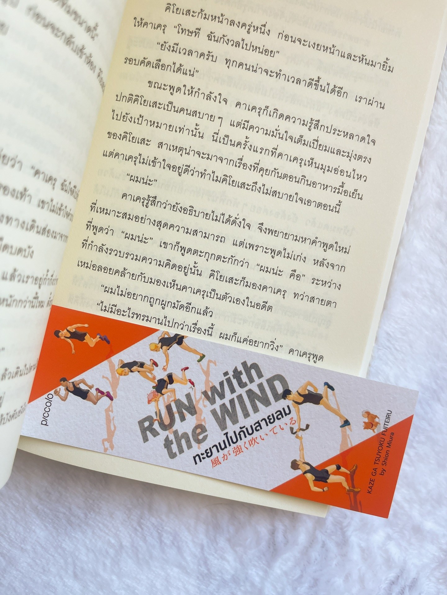 Run with the Wind ทะยานไปกับสายลม รูปที่ 5