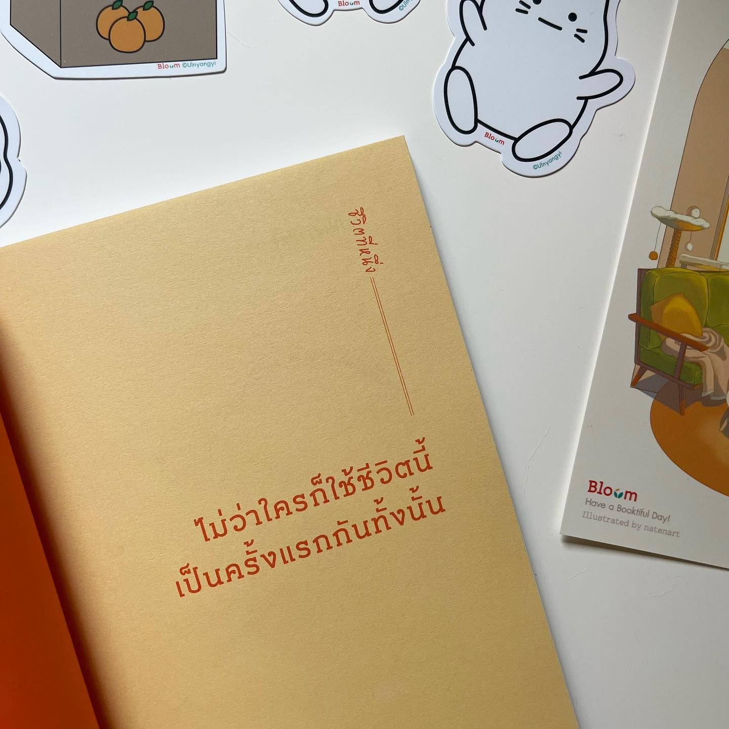 แมว 9 ชีวิตสอนฉันว่า “เหมียว เหมียว เหมียว เหมียว เหมียว” รูปที่ 4