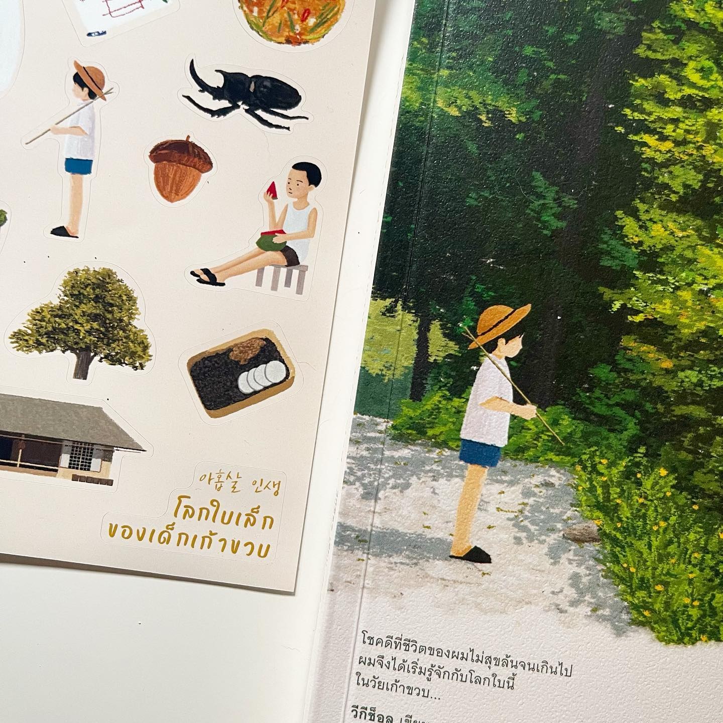 โลกใบเล็กของเด็กเก้าขวบ รูปที่ 4