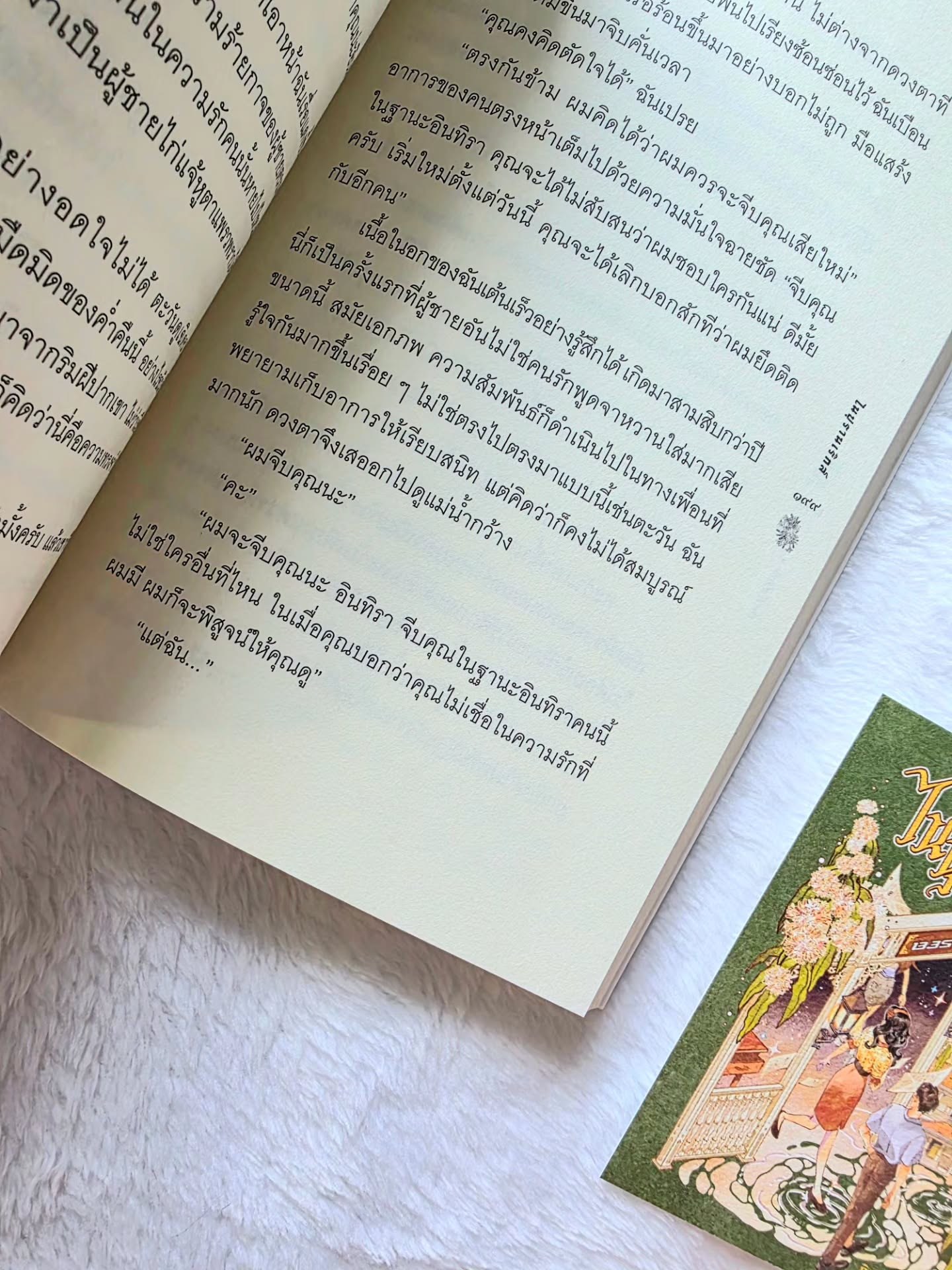 ไนปุรานเริกส์ (ปกใหม่) รูปที่ 3