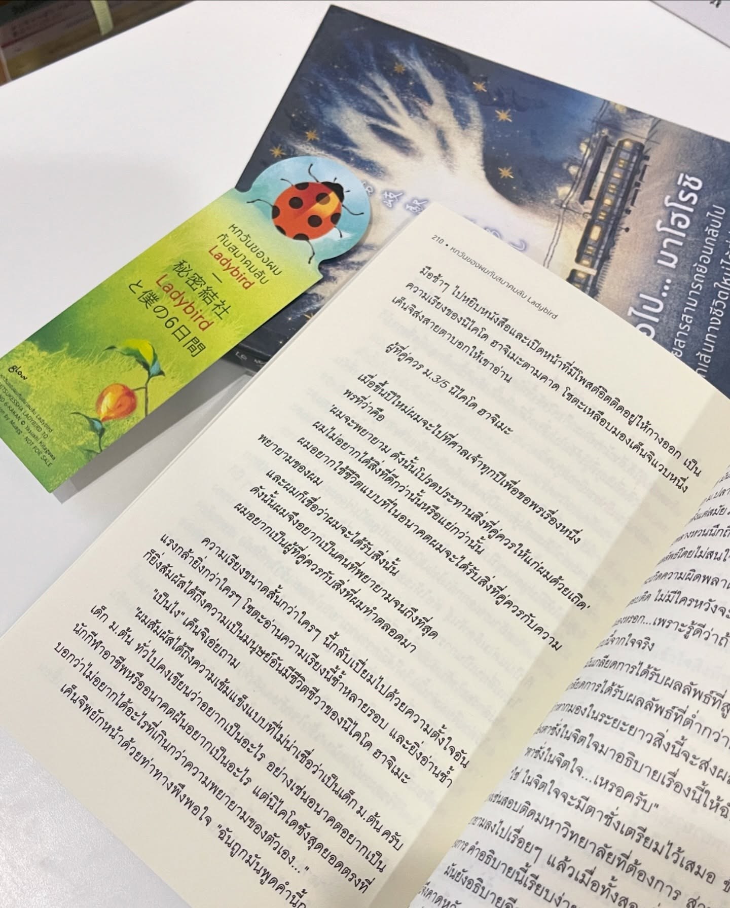 หกวันของผมกับสมาคมลับ Ladybird รูปที่ 3