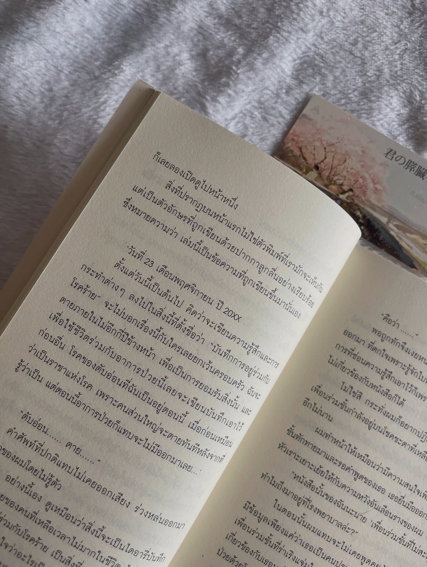 ตับอ่อนเธอนั้นขอฉันเถอะนะ รูปที่ 6