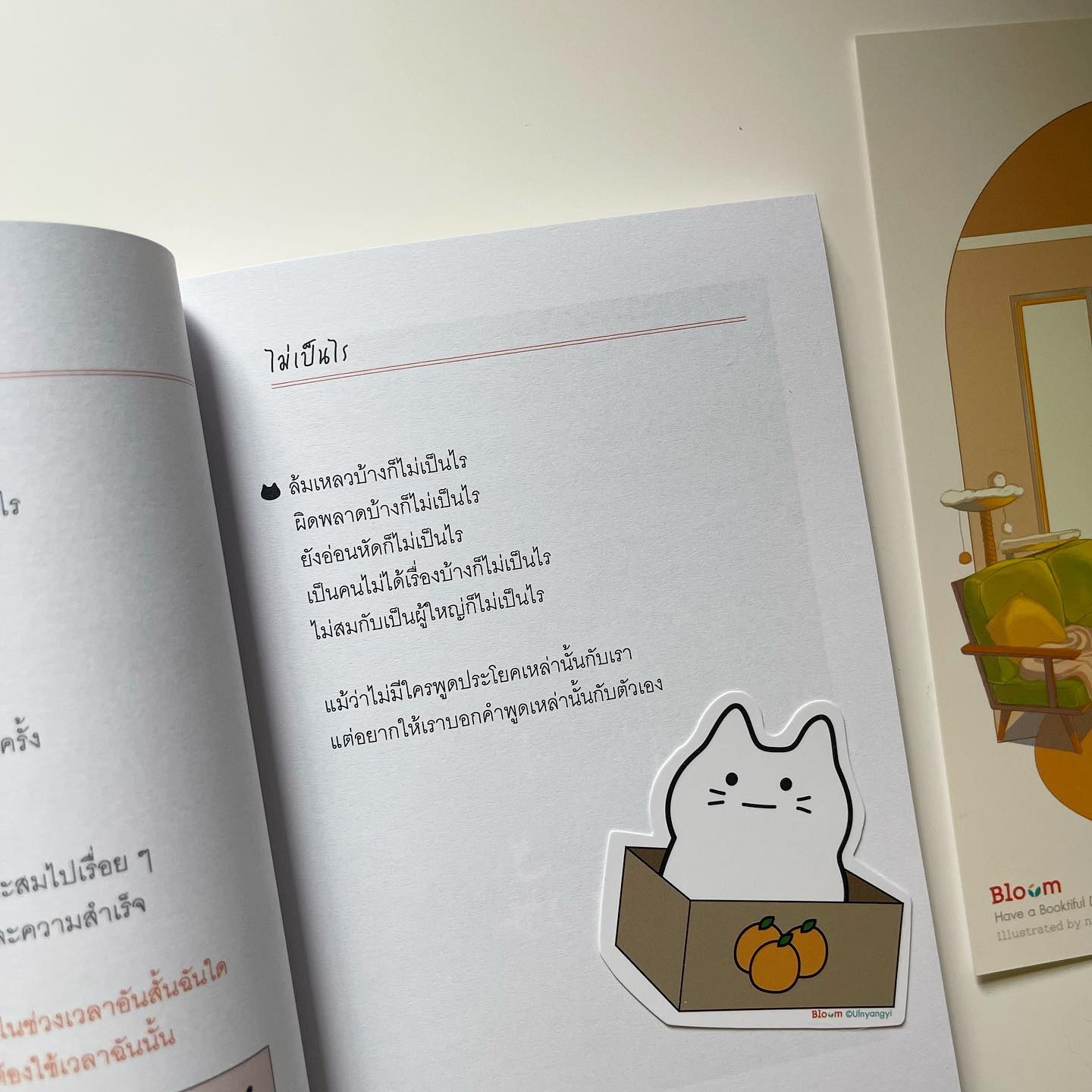 แมว 9 ชีวิตสอนฉันว่า “เหมียว เหมียว เหมียว เหมียว เหมียว” รูปที่ 5