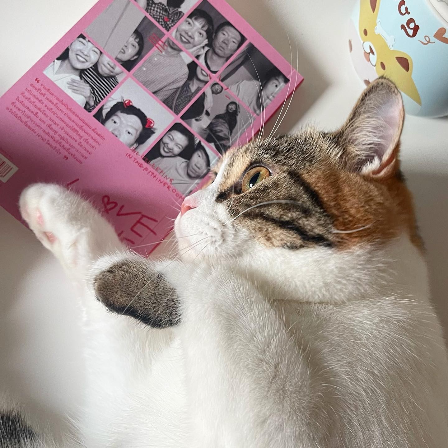 LOVEZINE เรื่องจริงหวังแต่ง รูปที่ 10