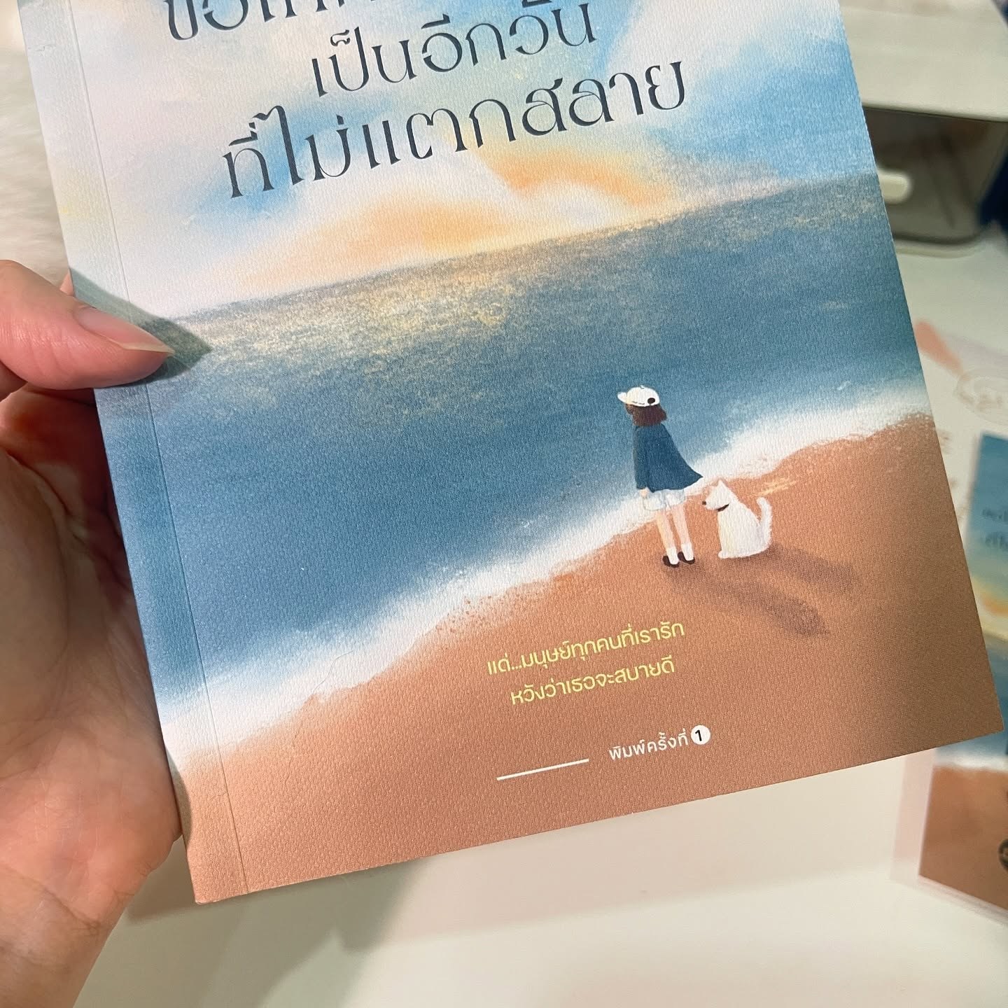 ขอให้การพบกัน...เป็นอีกวันที่ไม่แตกสลาย รูปที่ 7