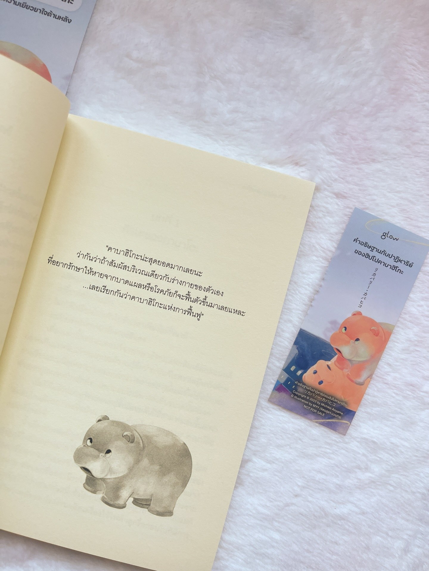 คำอธิษฐานกับปาฏิหาริย์ของฮิปโปคาบาฮิโกะ รูปที่ 13