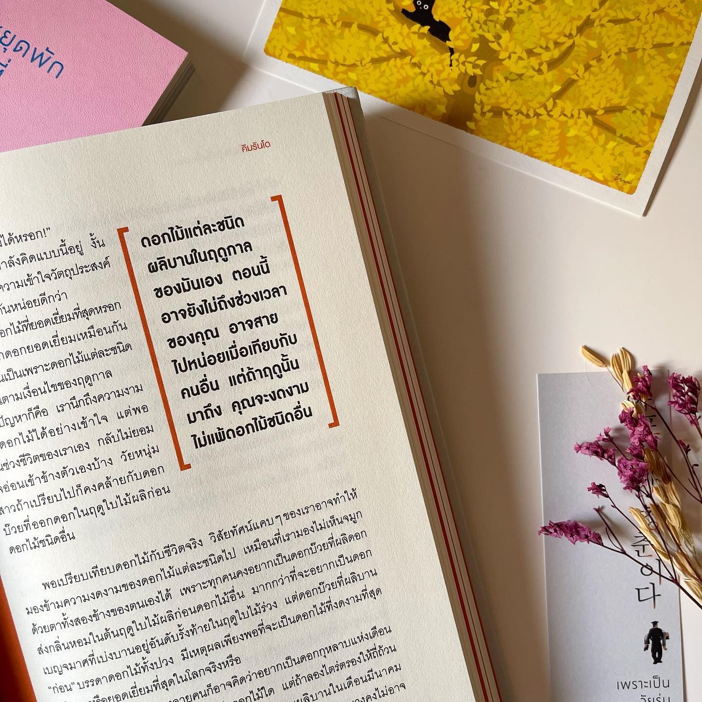 เพราะเป็นวัยรุ่นจึงเจ็บปวด รูปที่ 2