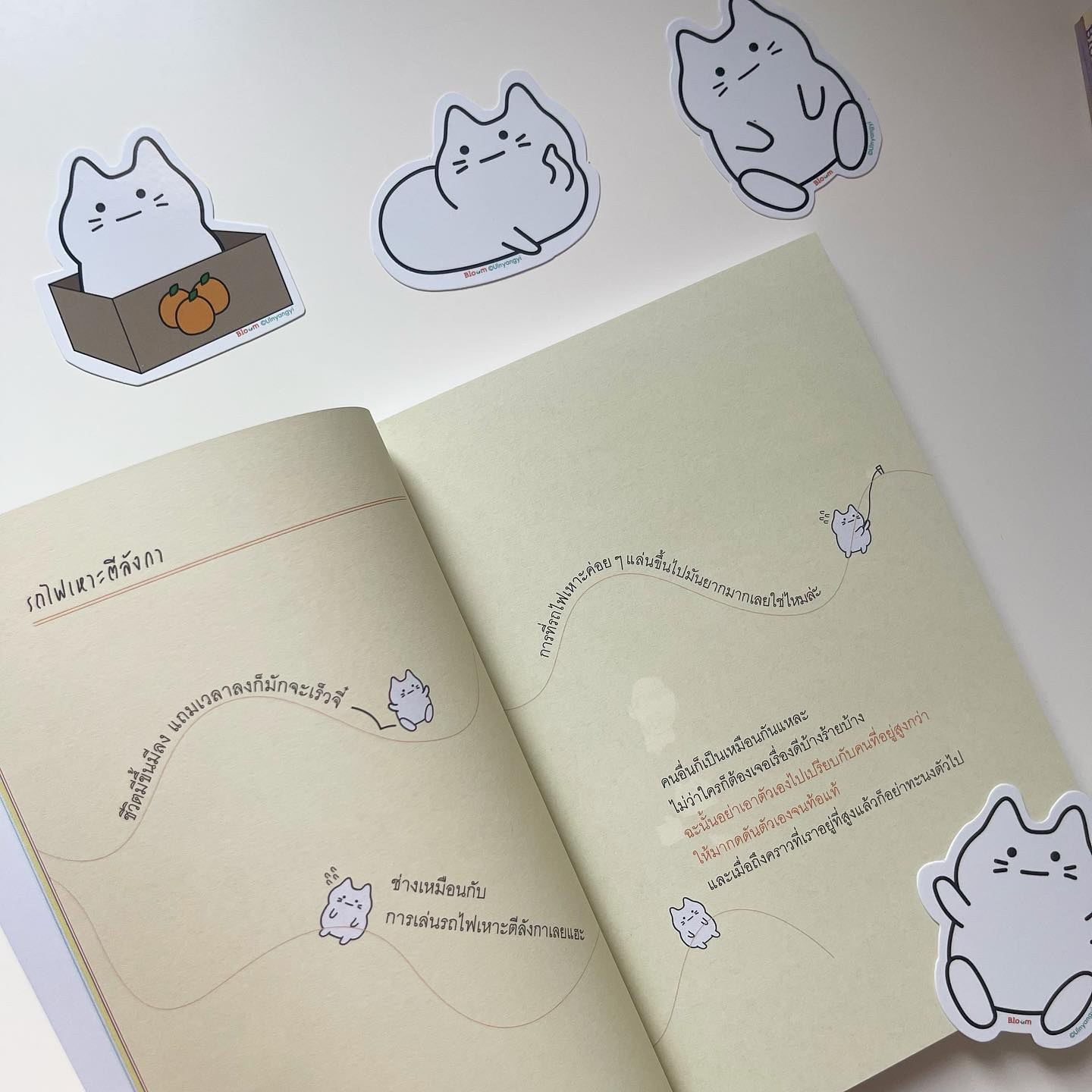 แมว 9 ชีวิตสอนฉันว่า “เหมียว เหมียว เหมียว เหมียว เหมียว” รูปที่ 3