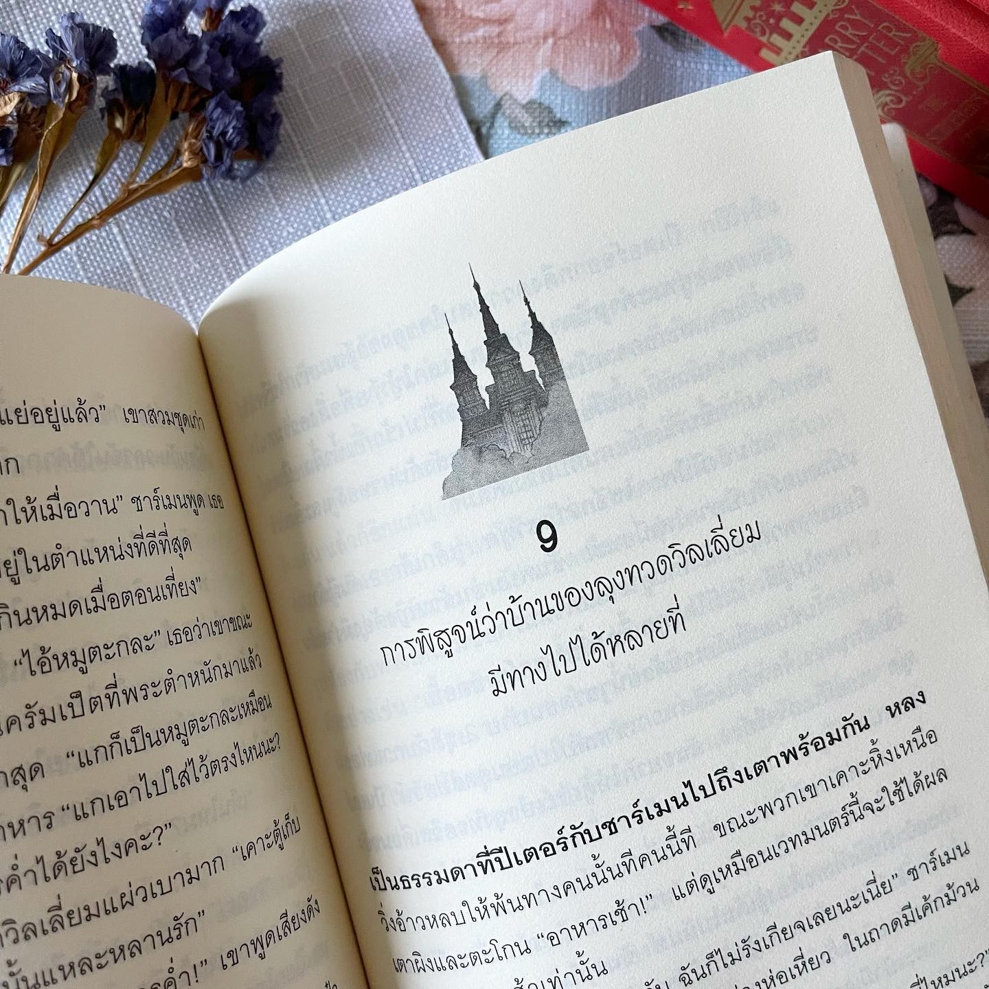 บ้านวิเศษของพ่อมดนอร์แลนด์ รูปที่ 3