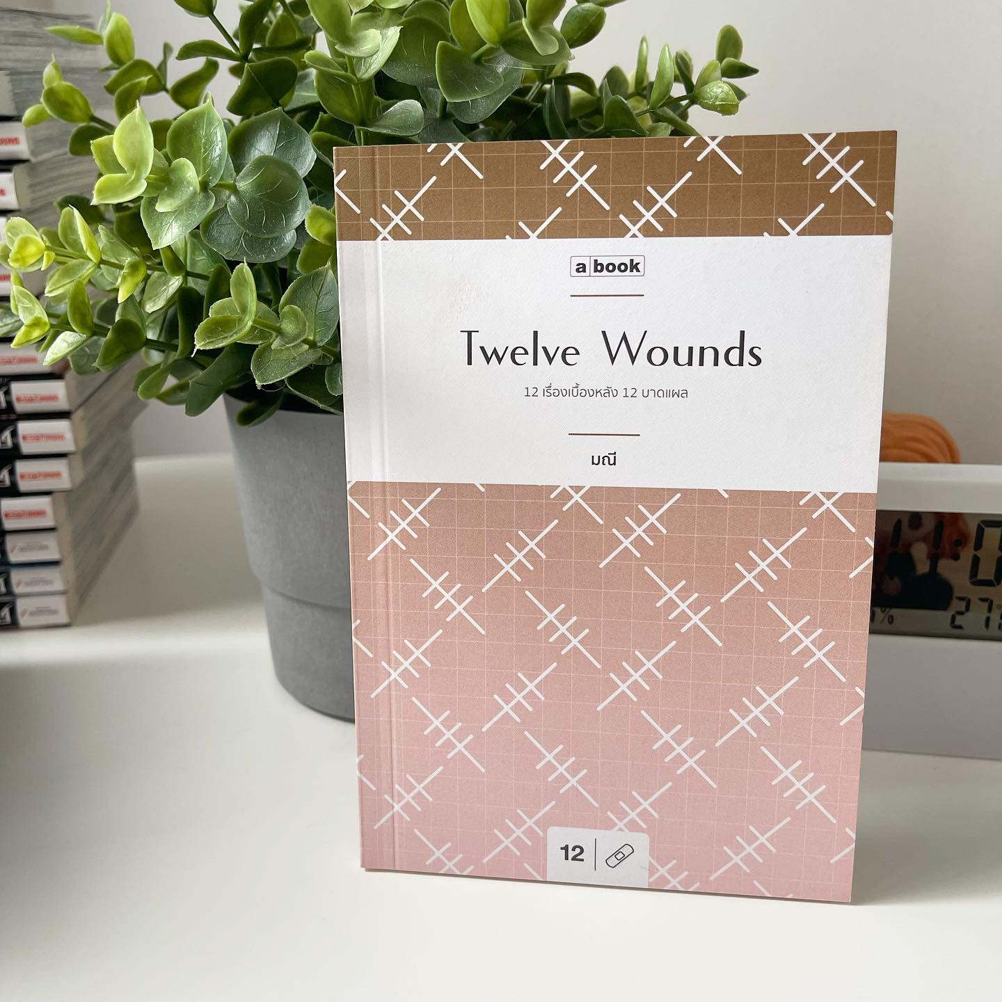 Twelve Wounds รูปที่ 1