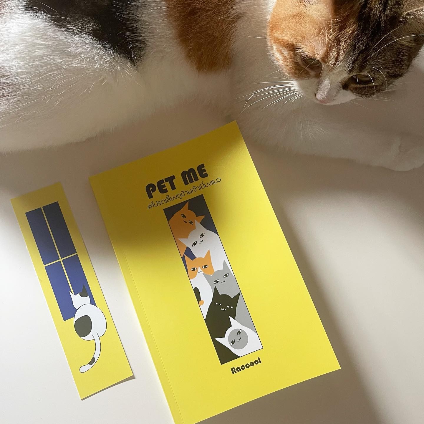 Pet me #โปรดเลี้ยงดูข้าพเจ้าเยี่ยงแมว รูปที่ 1