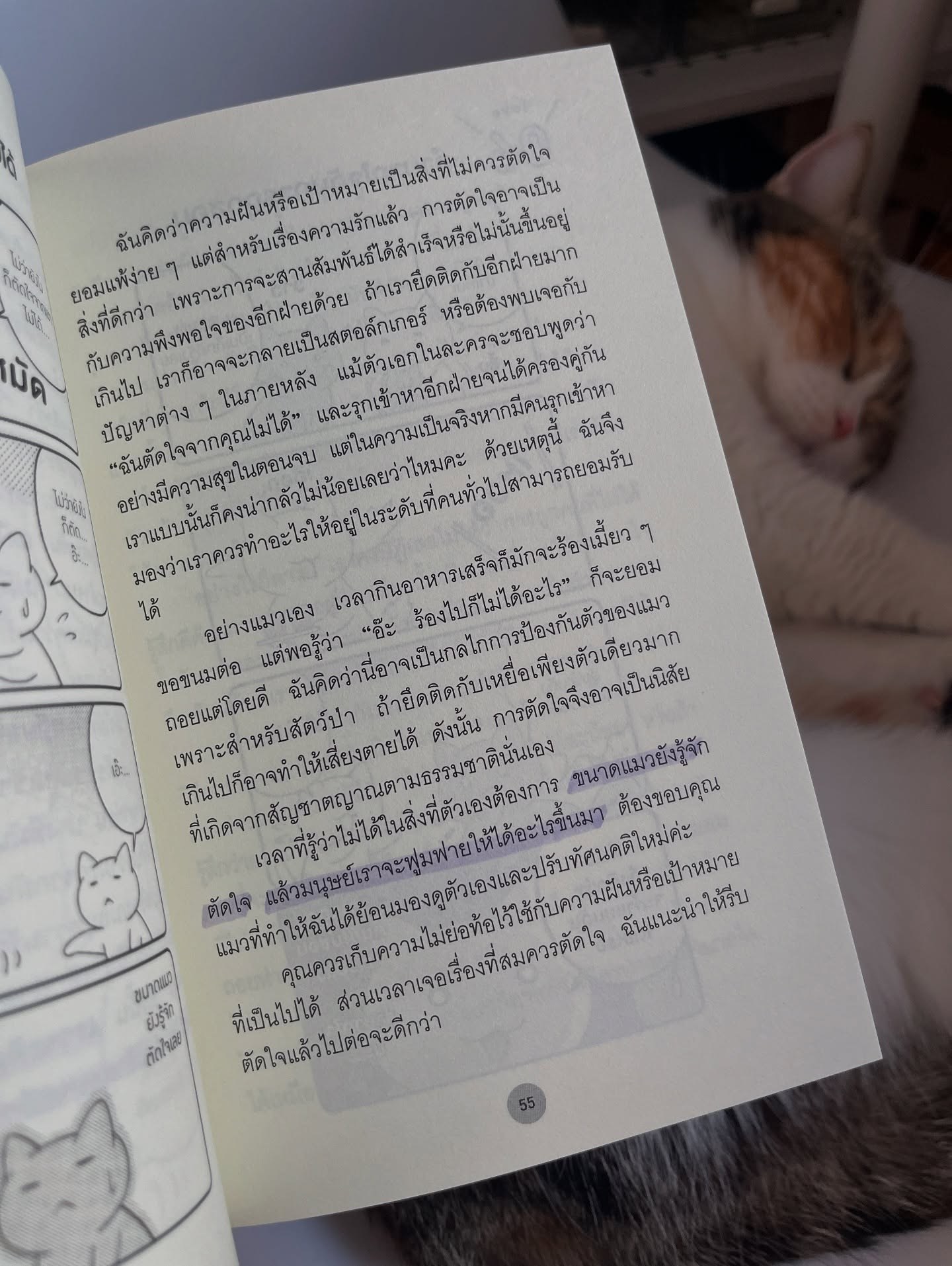 แมวเป็นที่พึ่งแห่งคน รูปที่ 10