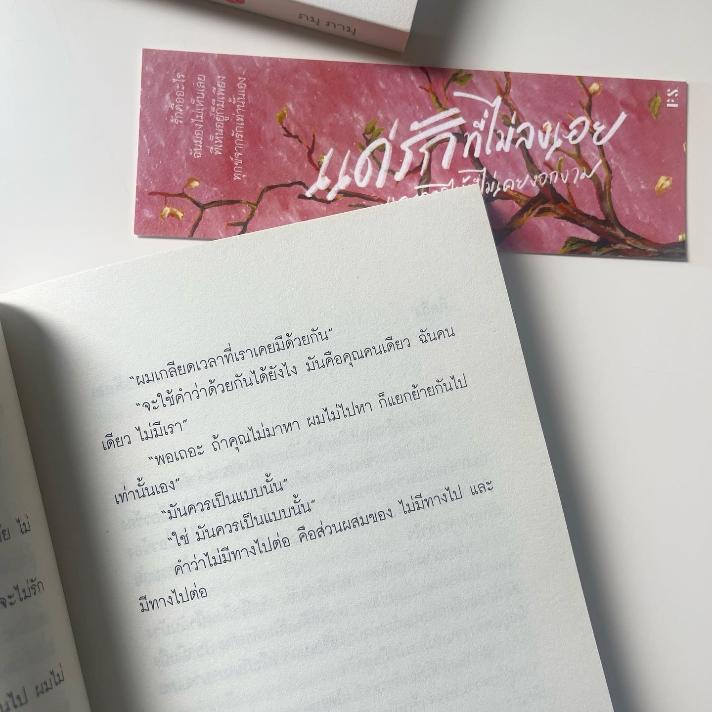แด่รักที่ไม่ลงเอย และดอกไม้ที่ไม่เคยงอกงาม รูปที่ 5