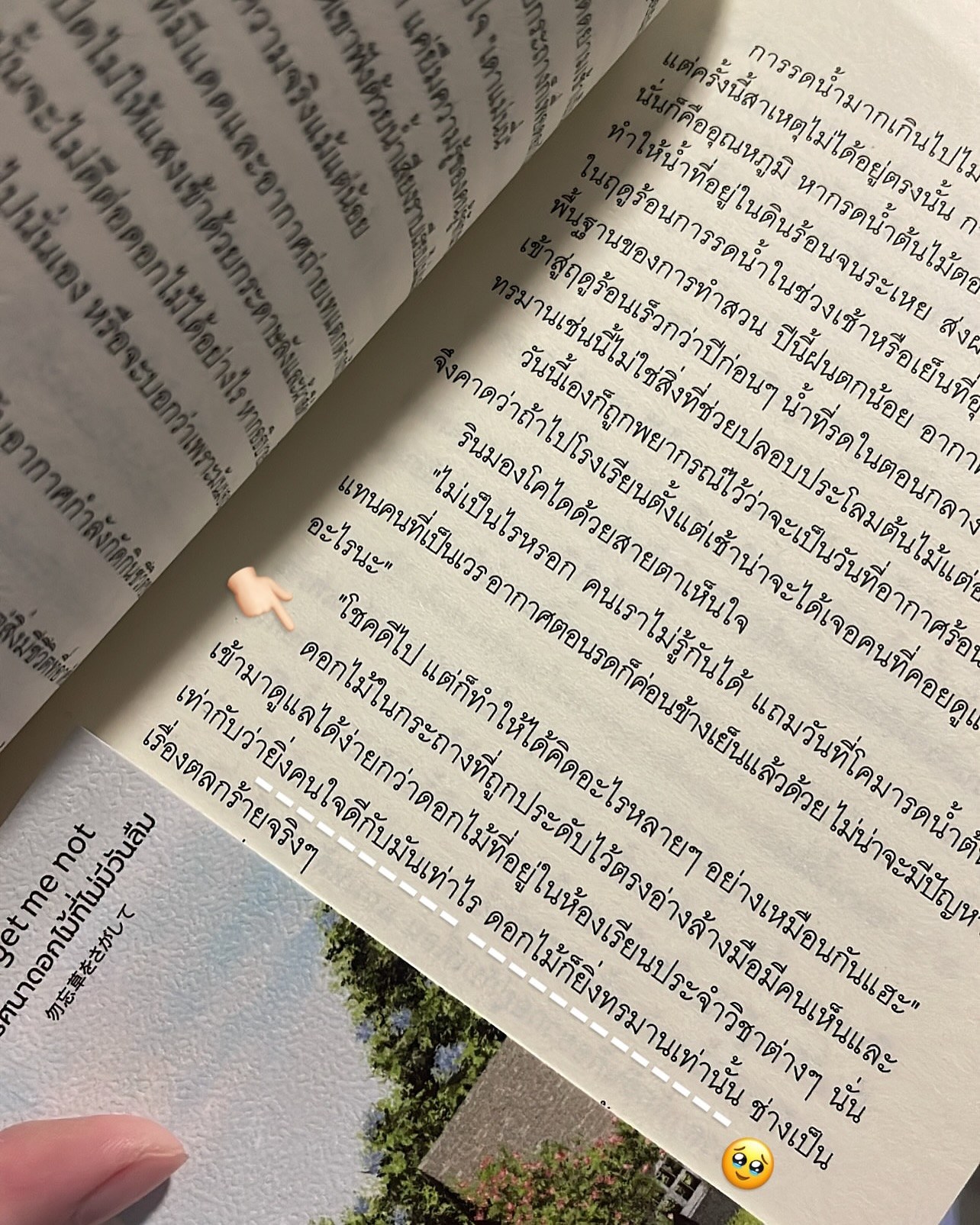 Forget me not ไขปริศนาดอกไม้ที่ไม่มีวันลืม รูปที่ 4