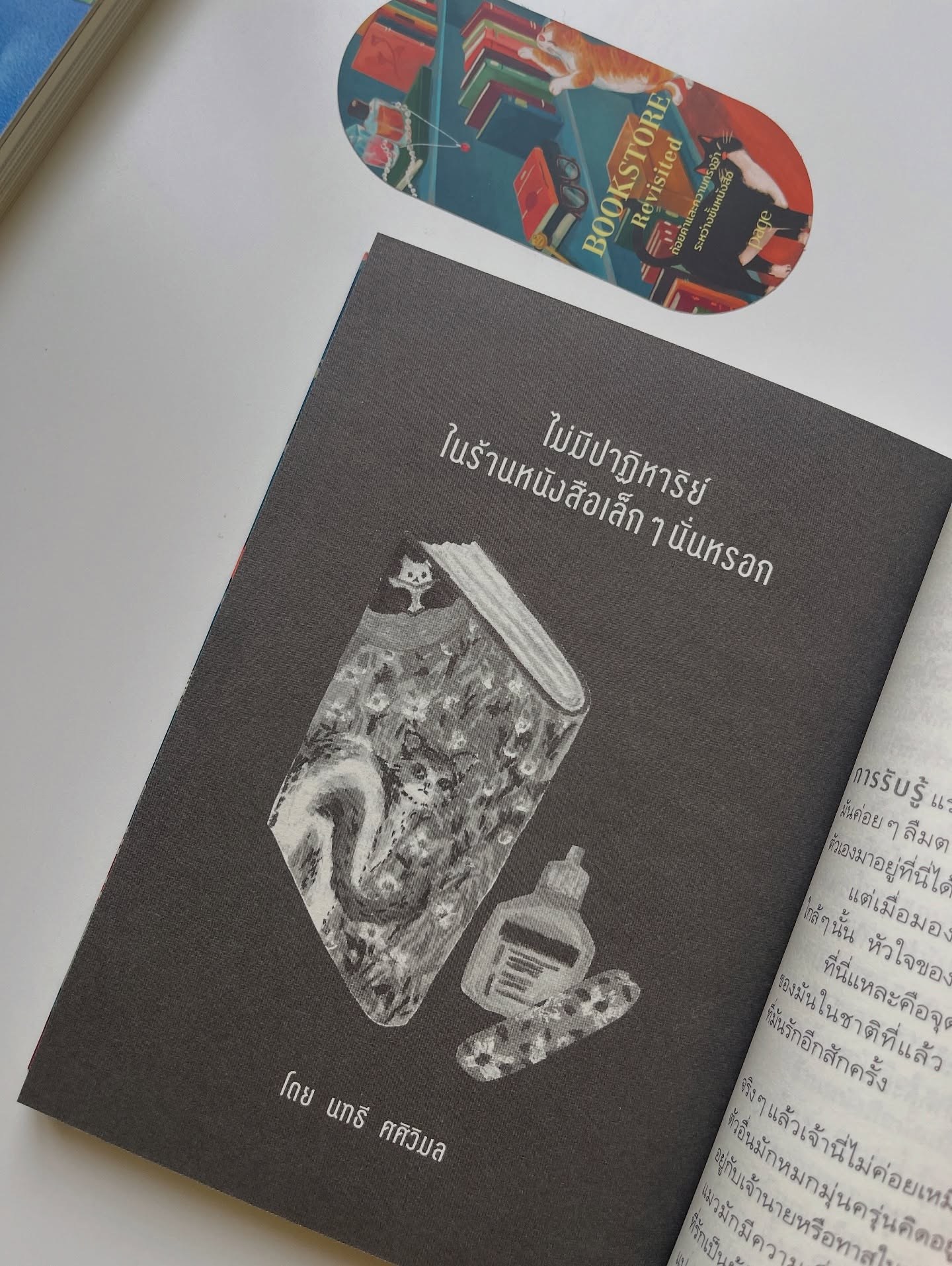 Bookstore Revisited ถ้อยคำและความทรงจำระหว่างชั้นหนังสือ รูปที่ 3