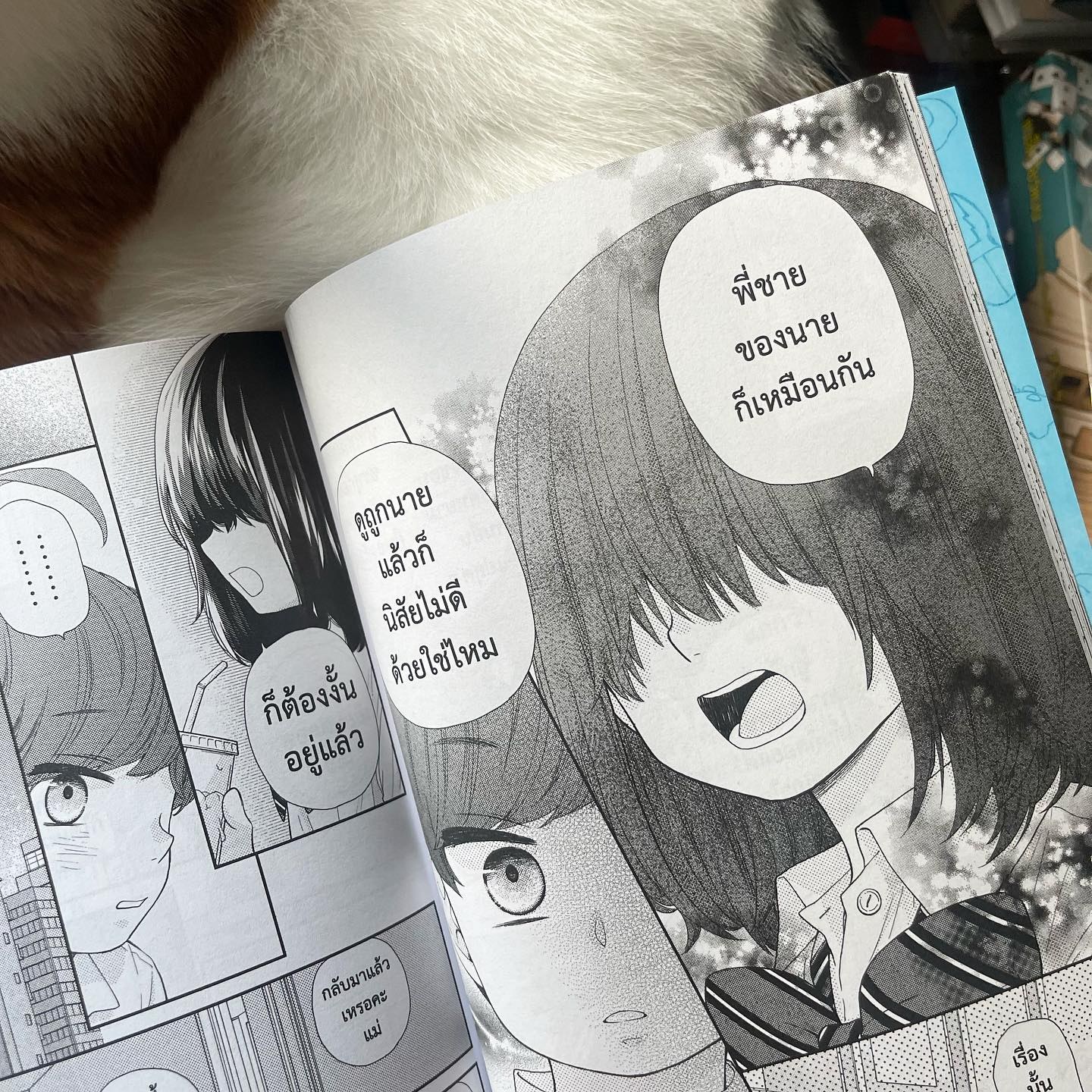 สี่พี่น้องยุซึกิ ครอบครัวนี้มีแต่รัก เล่ม 4 รูปที่ 3